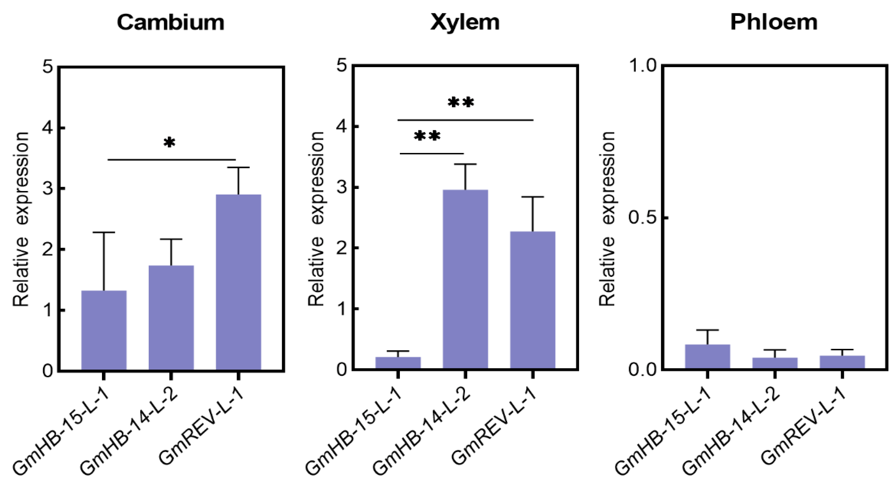 Plants 11 01728 g007