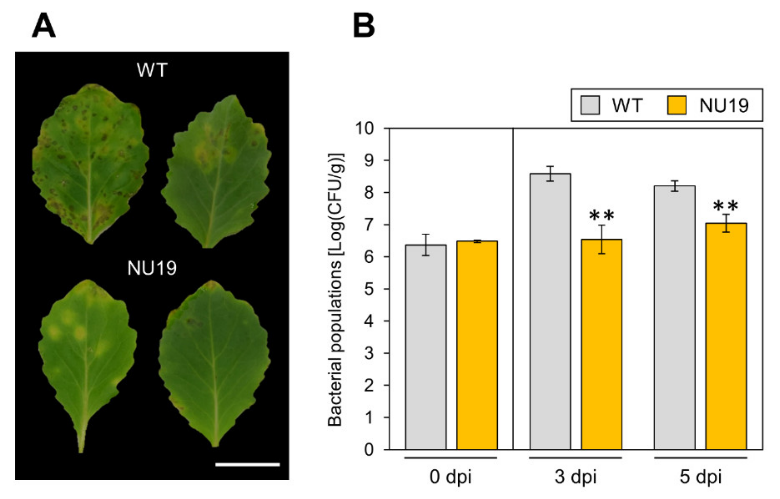 Plants 11 01742 g001