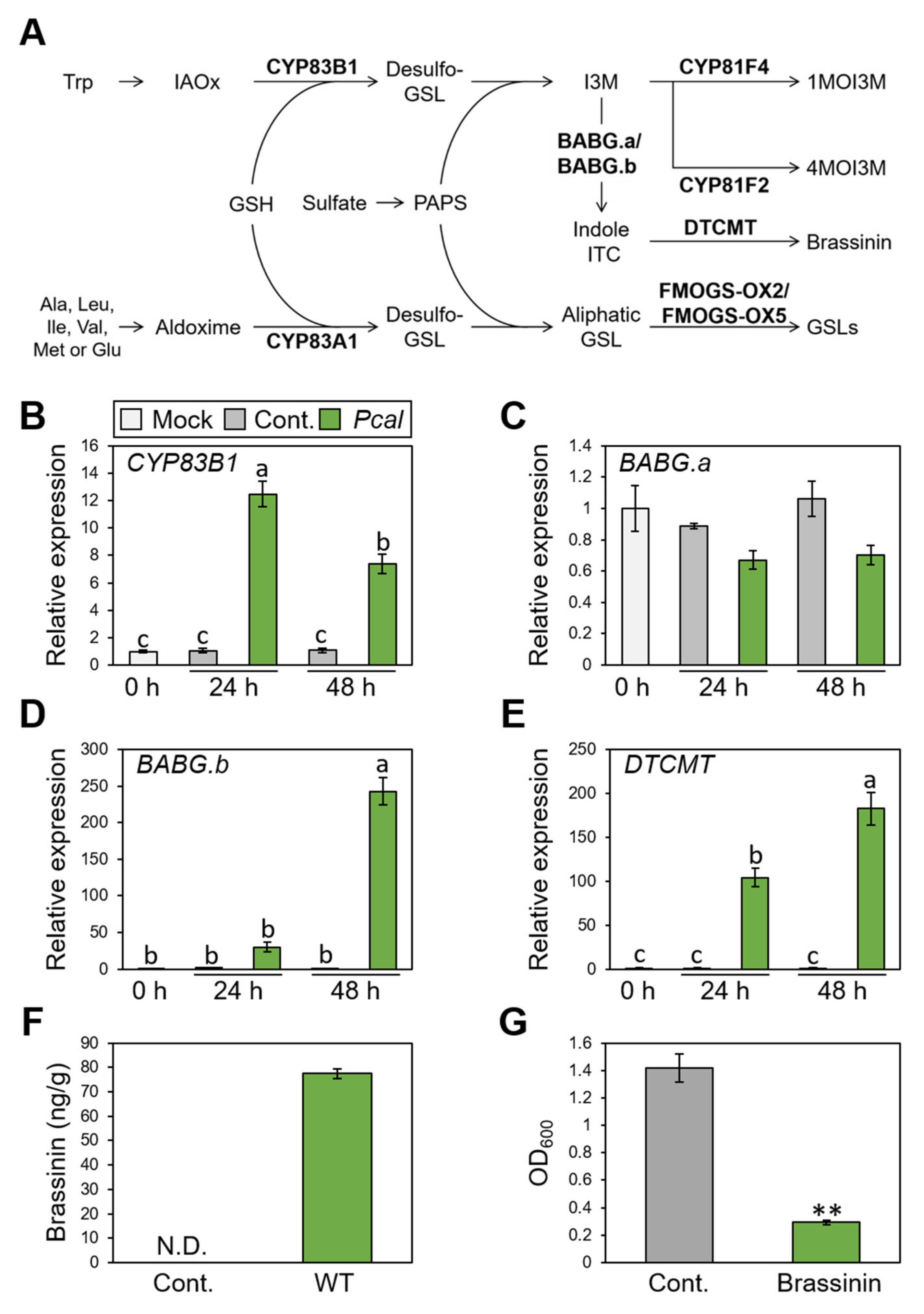 Plants 11 01742 g002