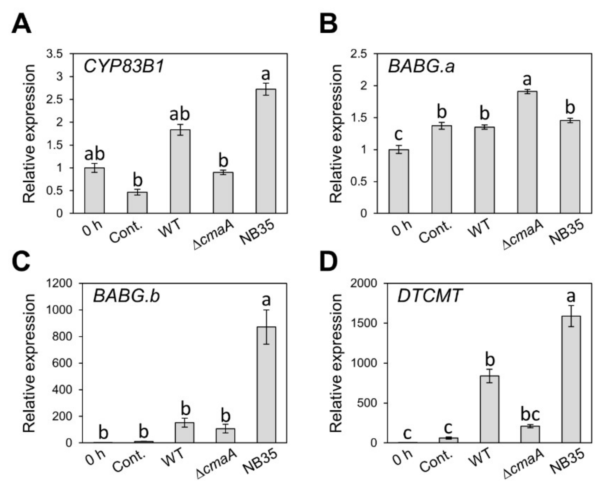 Plants 11 01742 g005
