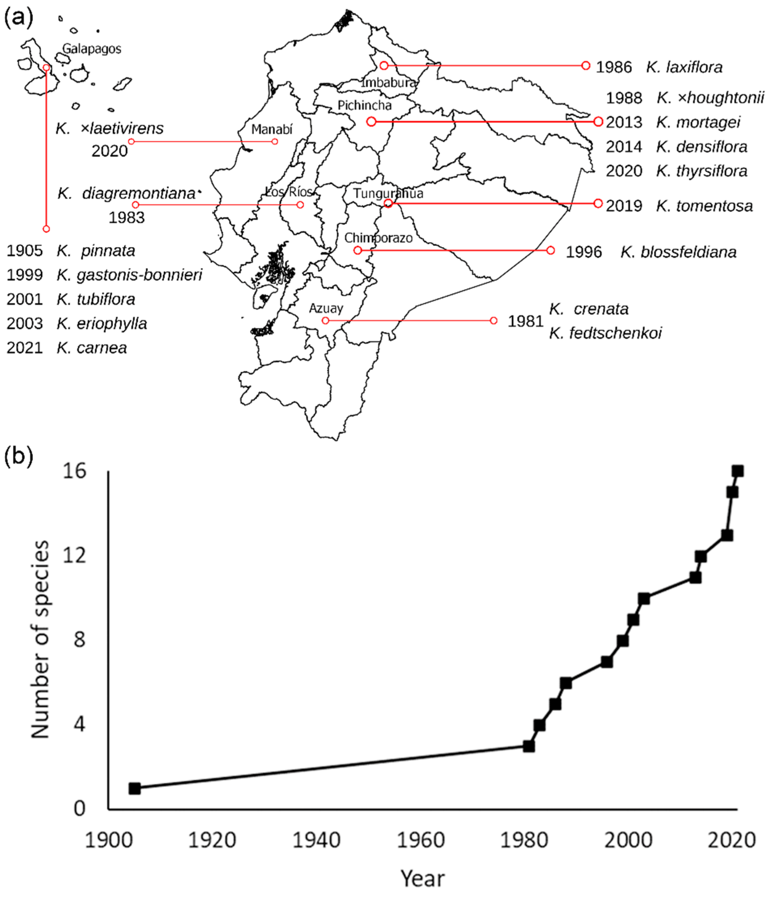 Plants 11 01746 g001