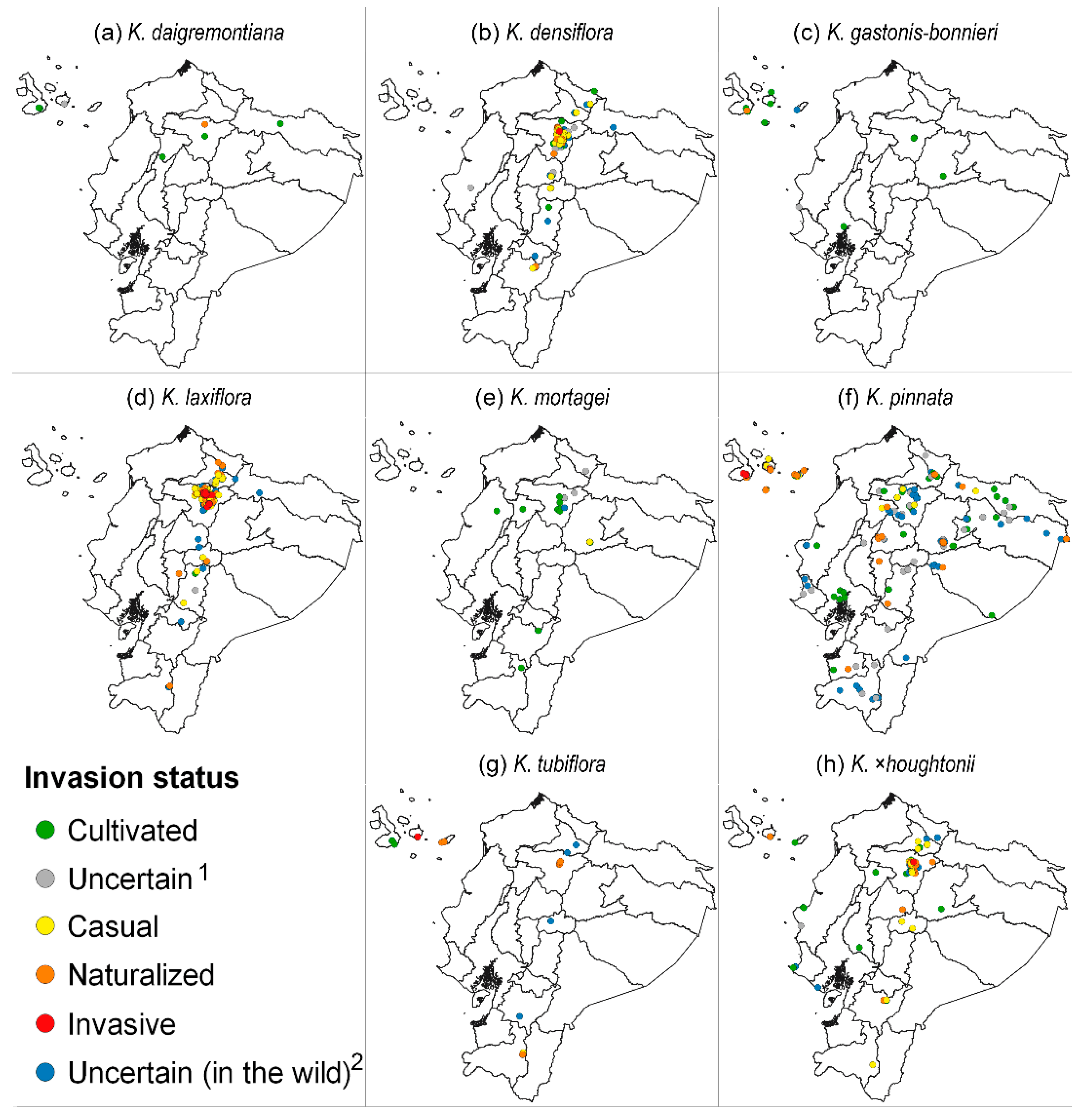 Plants 11 01746 g005