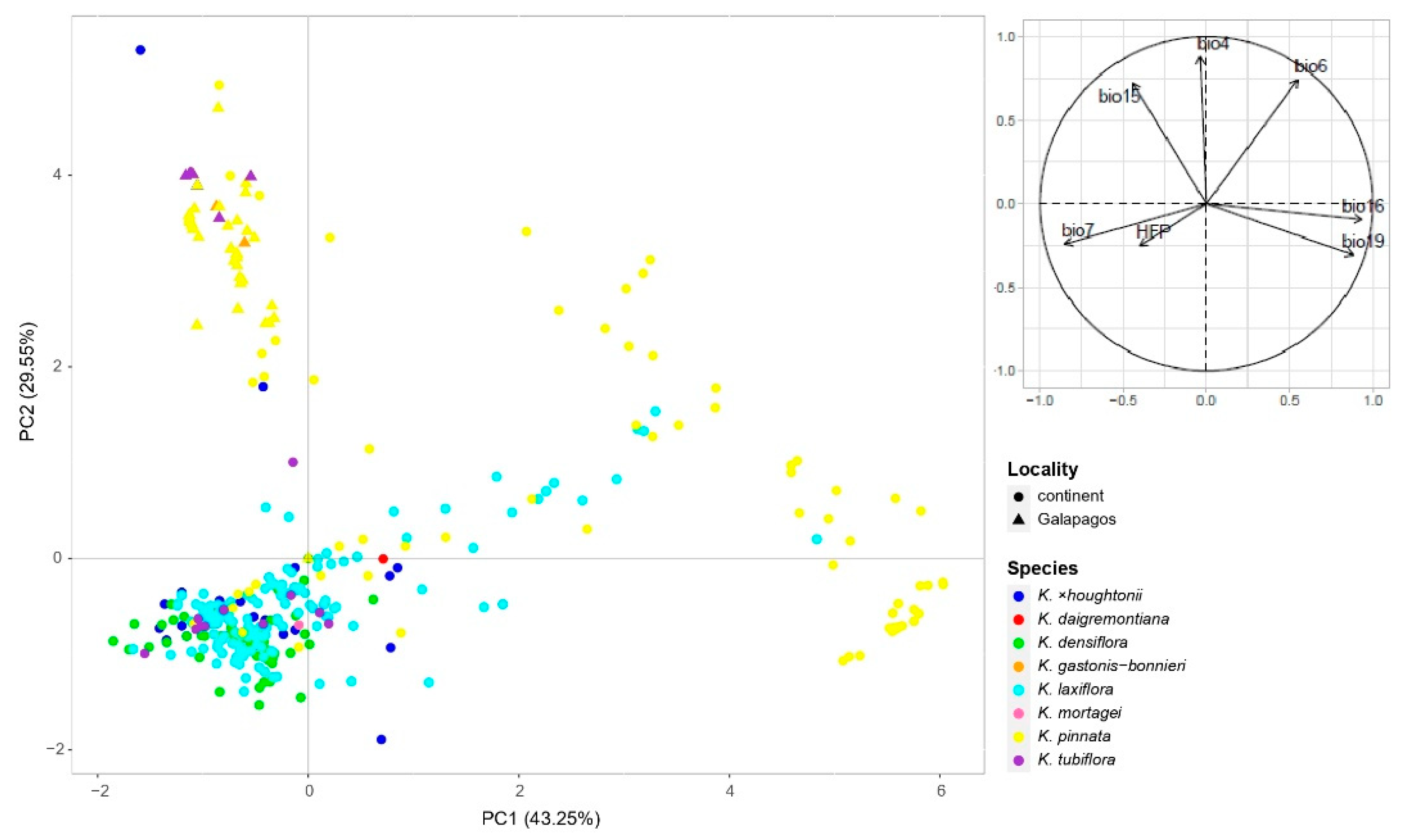 Plants 11 01746 g006