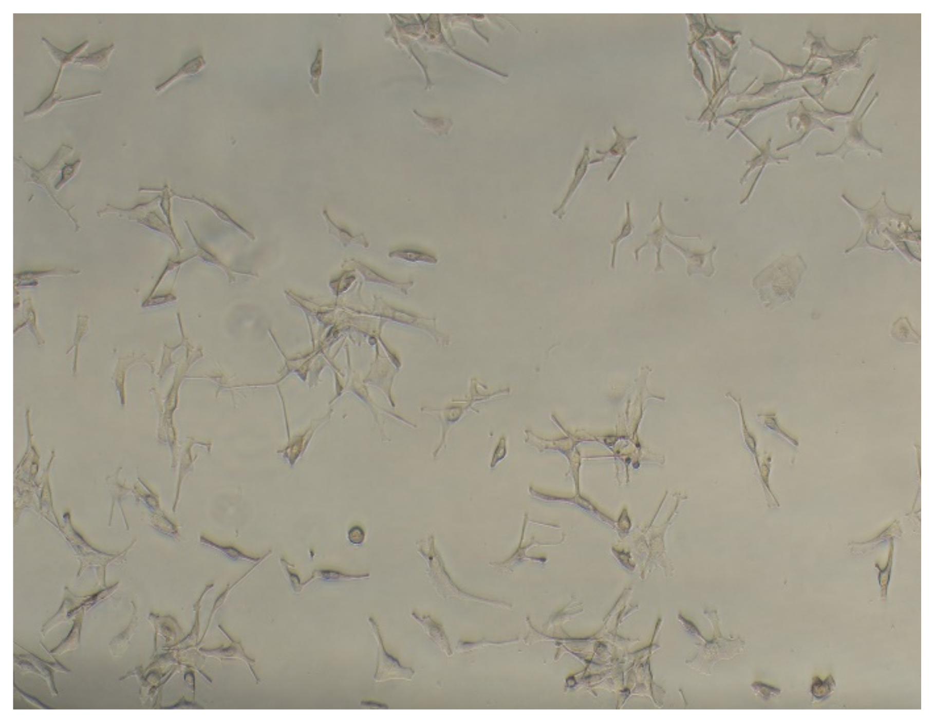 Plants 11 01749 g003