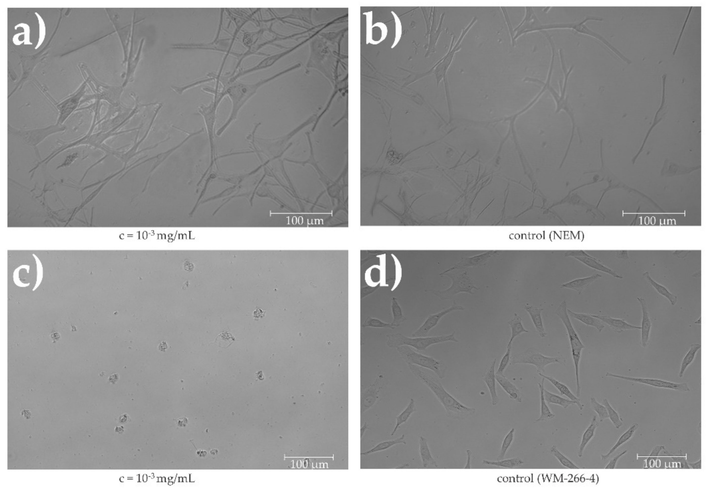 Plants 11 01749 g008