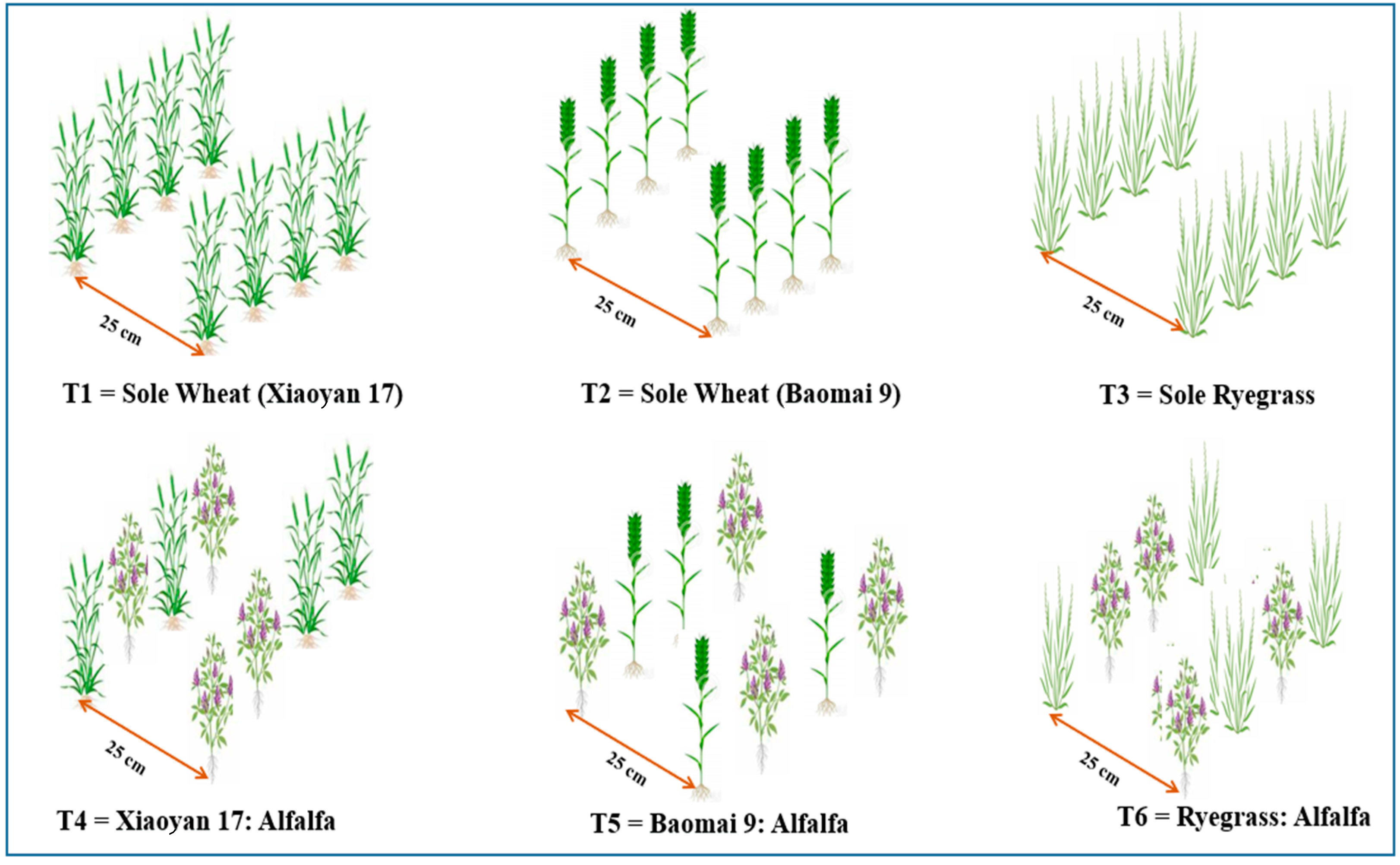 Plants 11 01752 g002