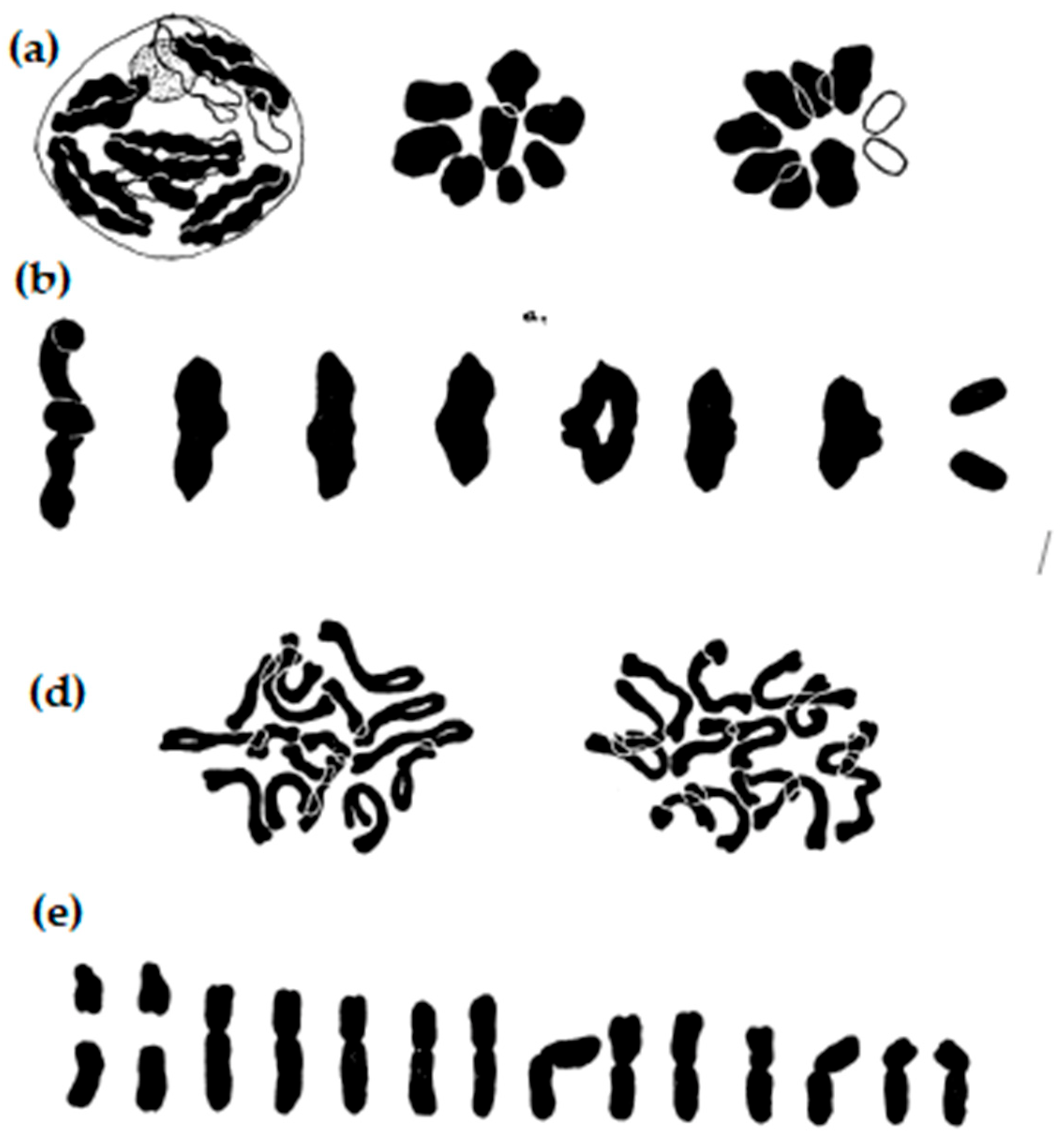 Plants 11 01753 g003