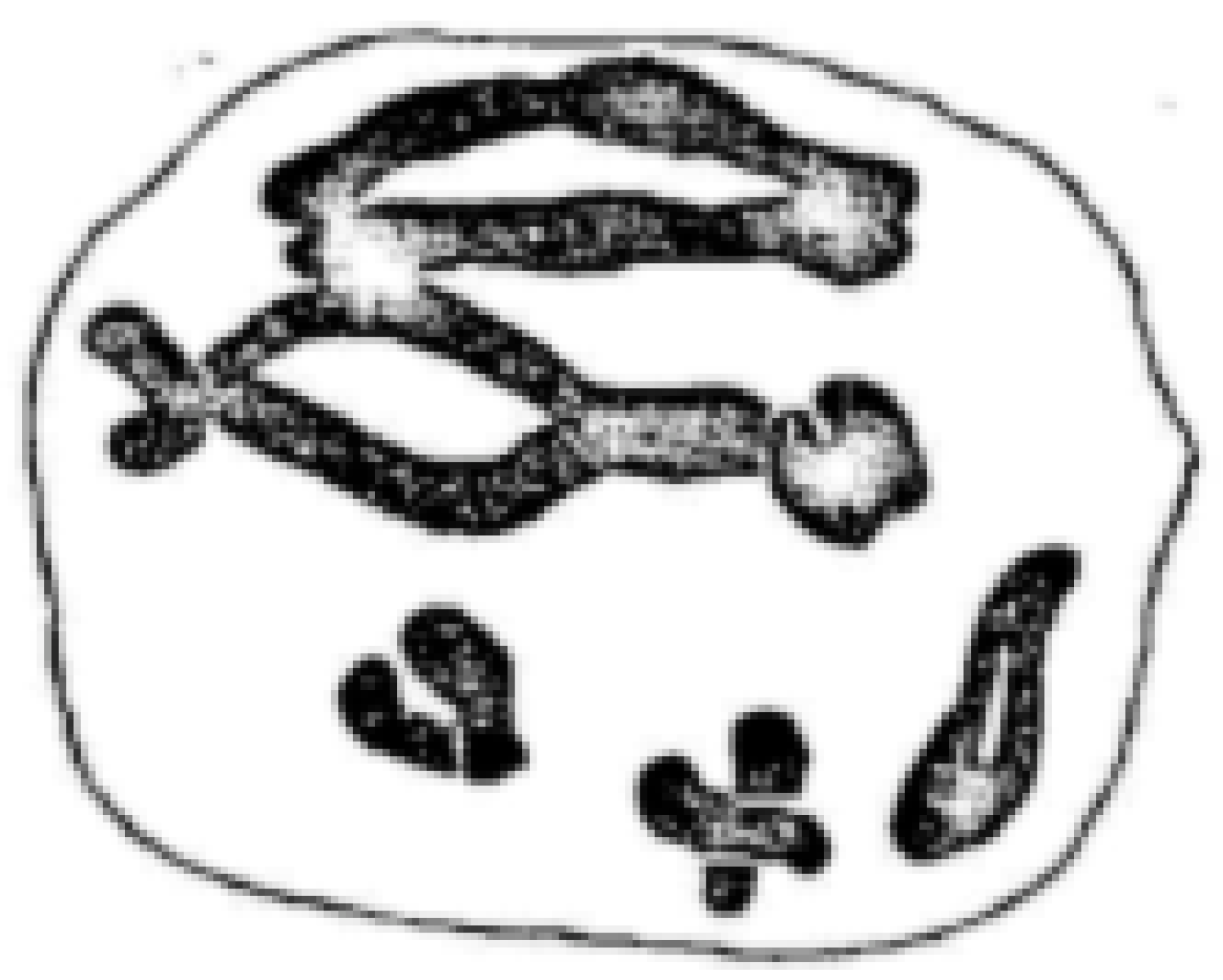 Plants 11 01753 g005