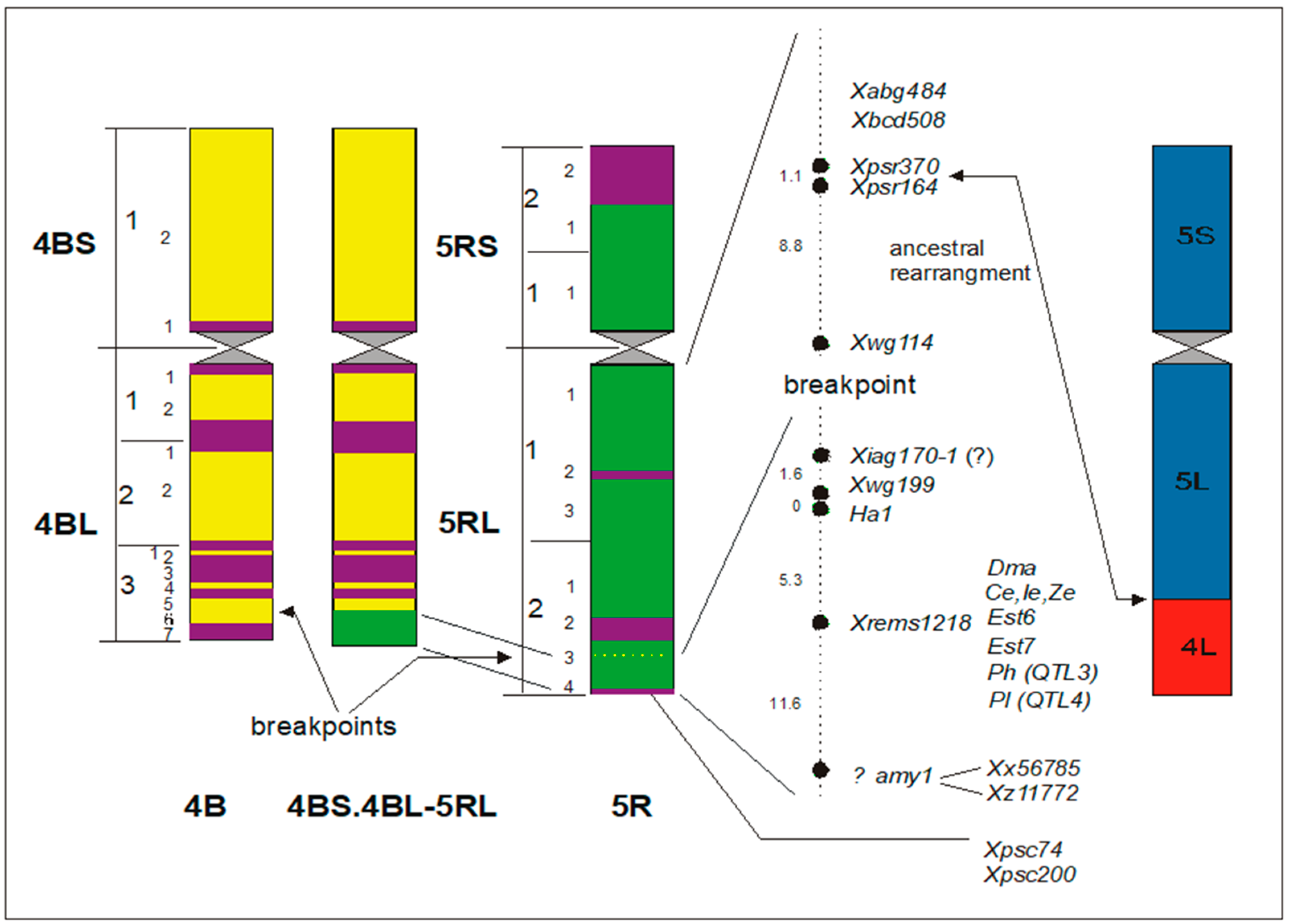 Plants 11 01753 g017