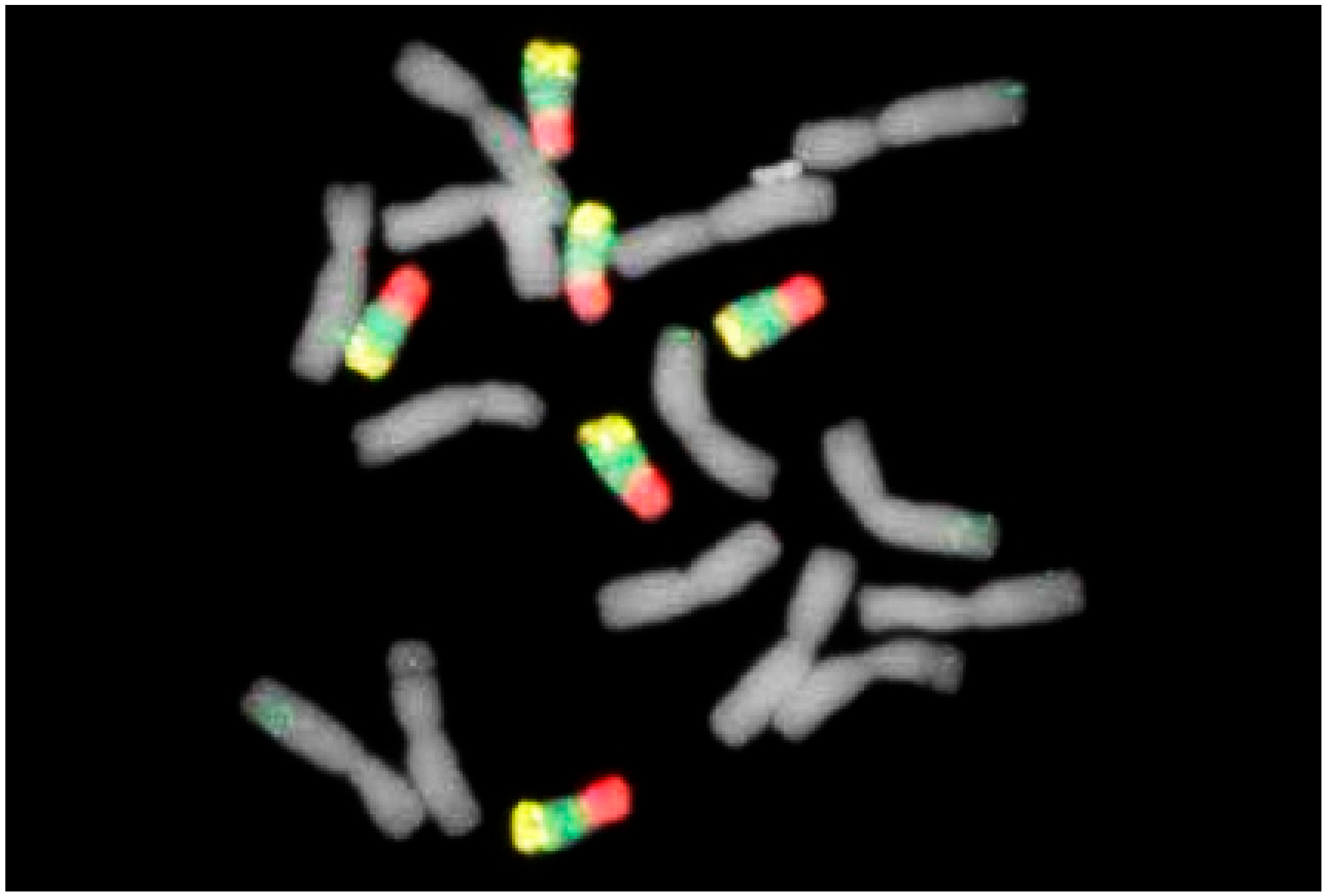 Plants 11 01753 g019