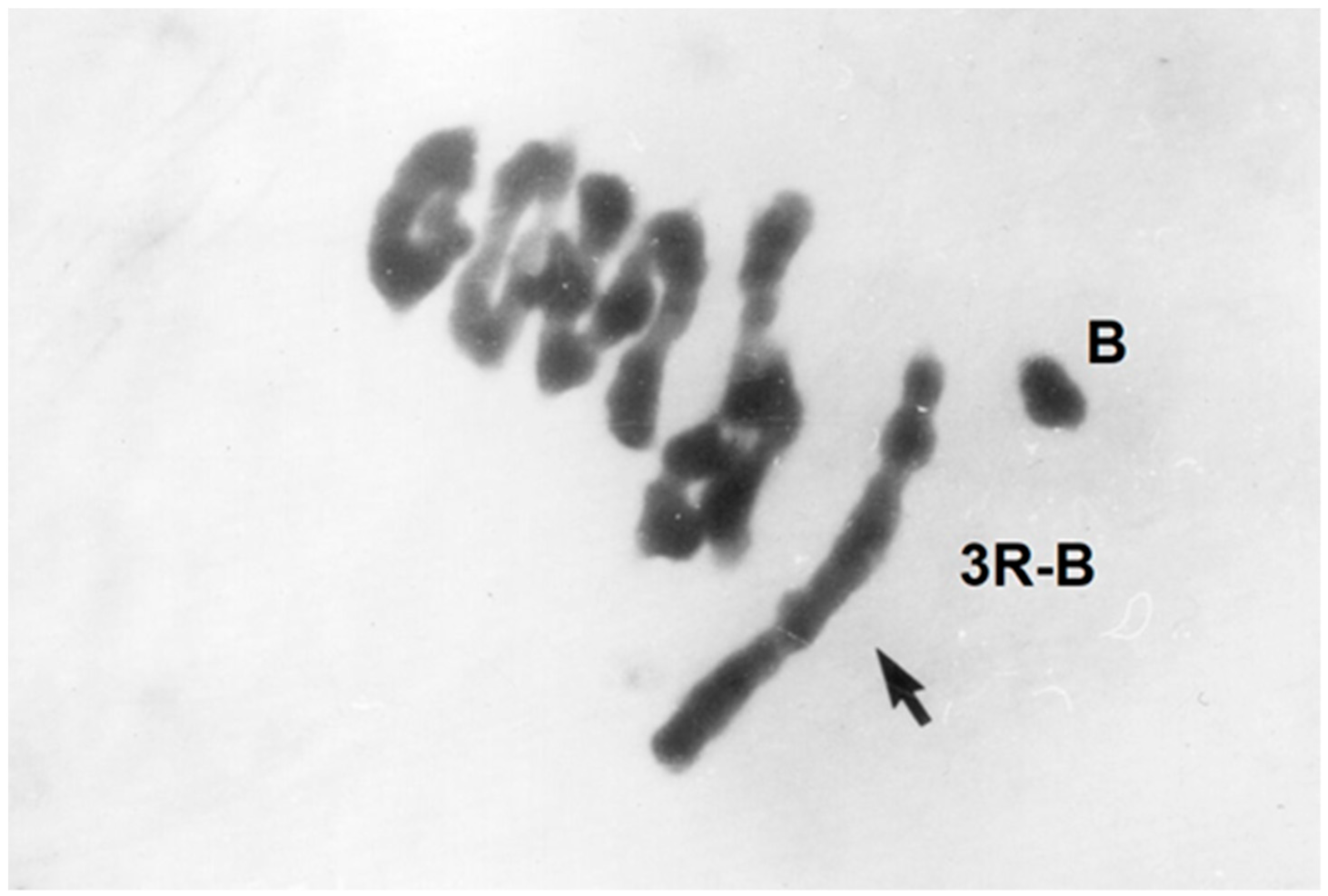 Plants 11 01753 g020