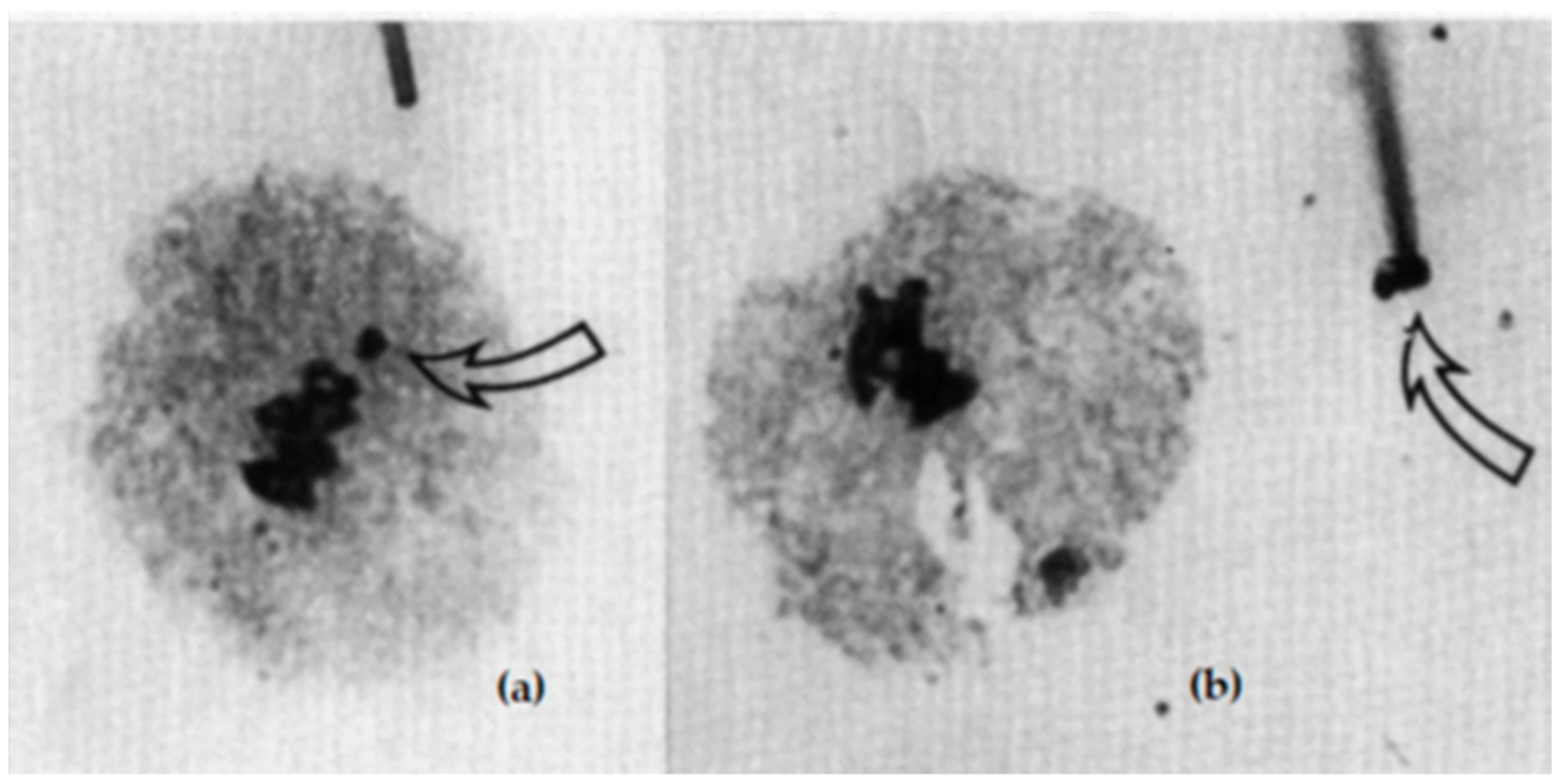 Plants 11 01753 g021