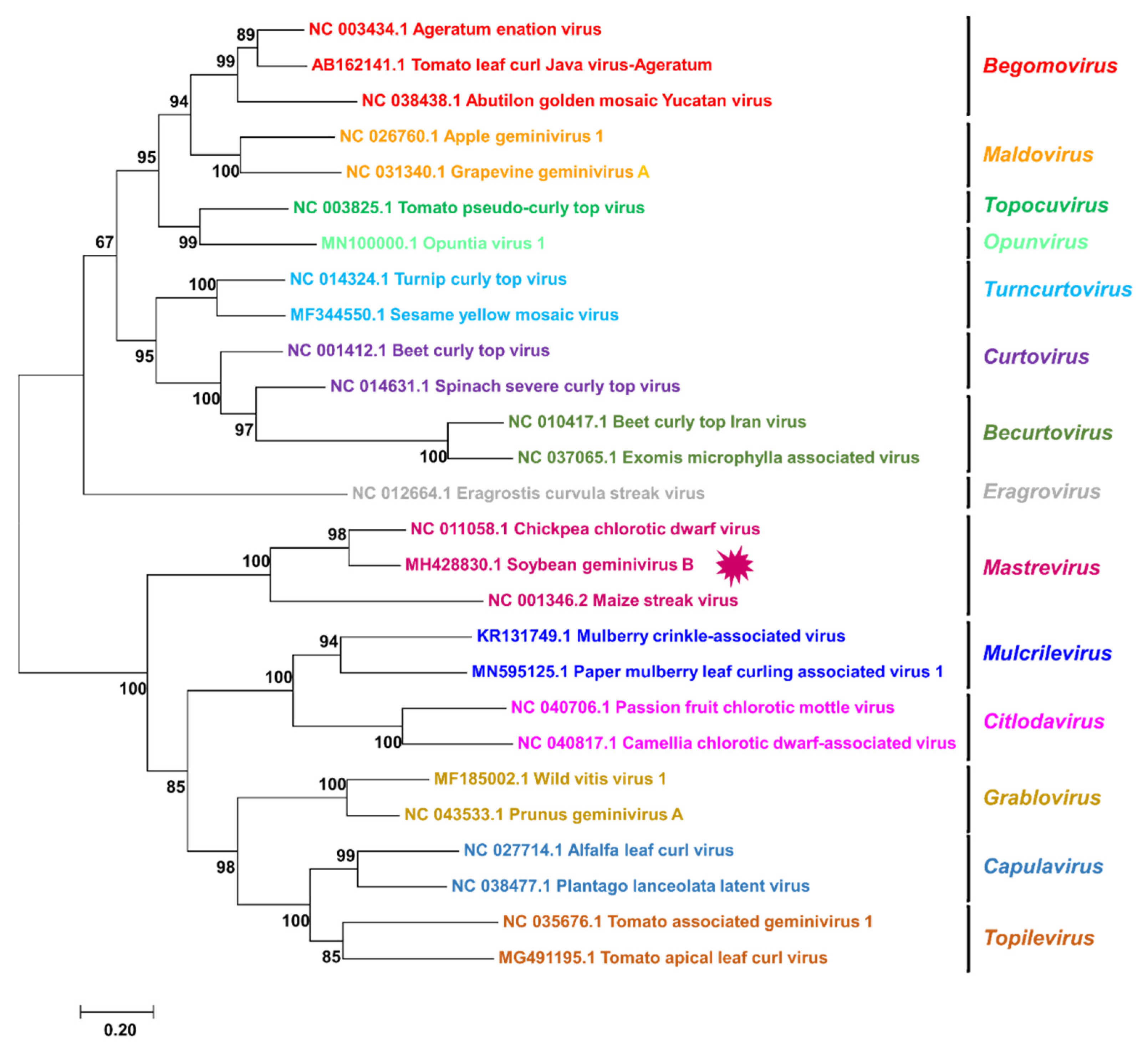 Plants 11 01768 g003