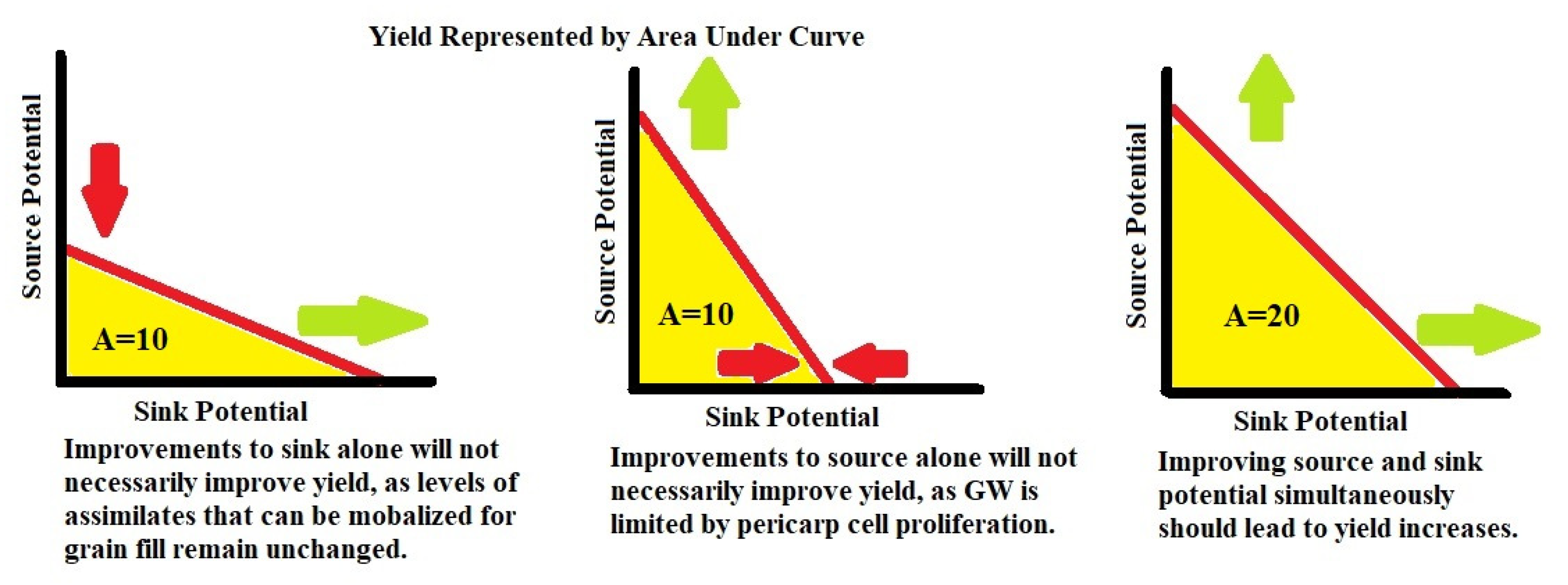 Plants 11 01772 g007