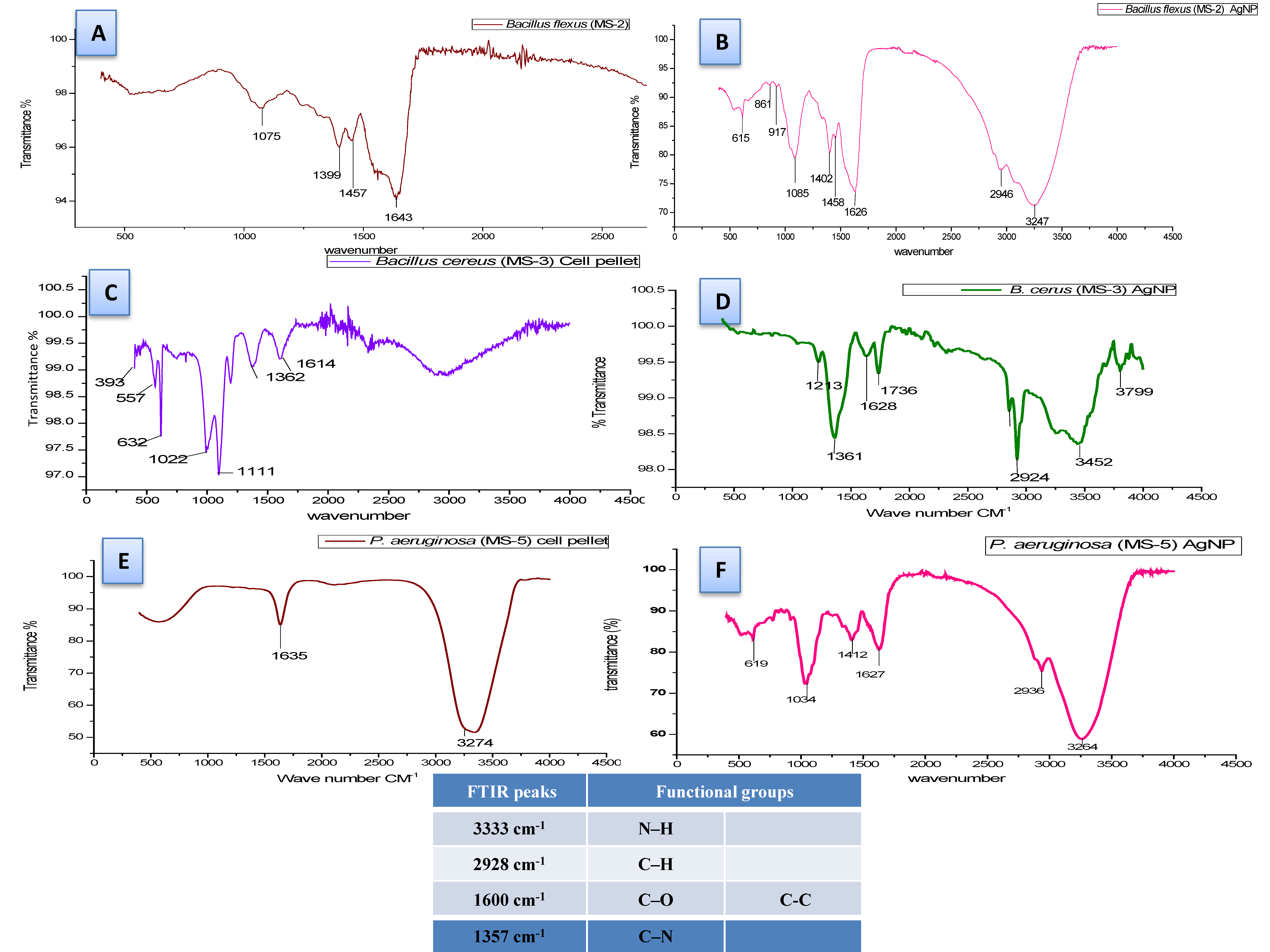 Plants 11 01787 g006