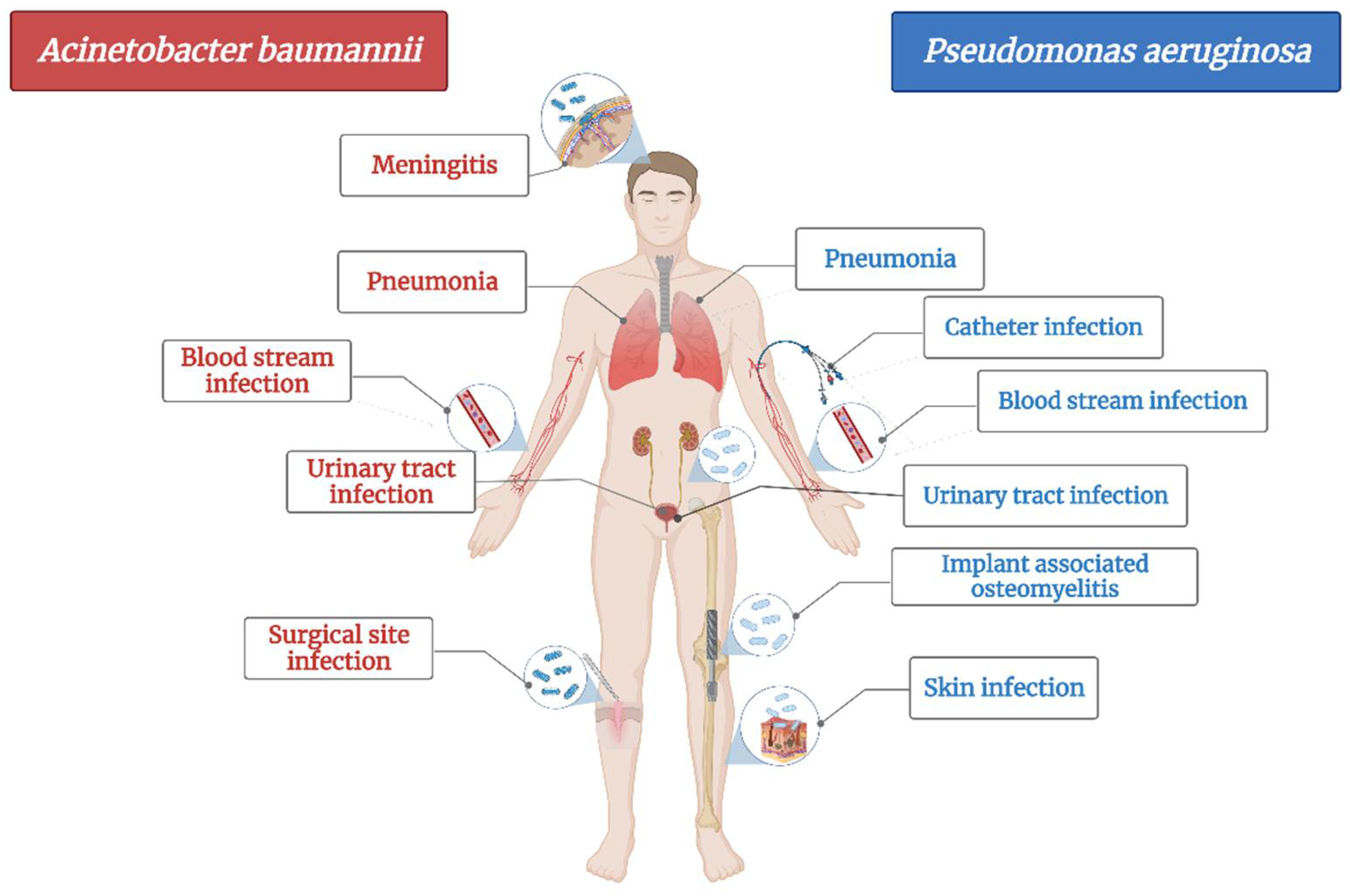 Plants 11 01789 g001
