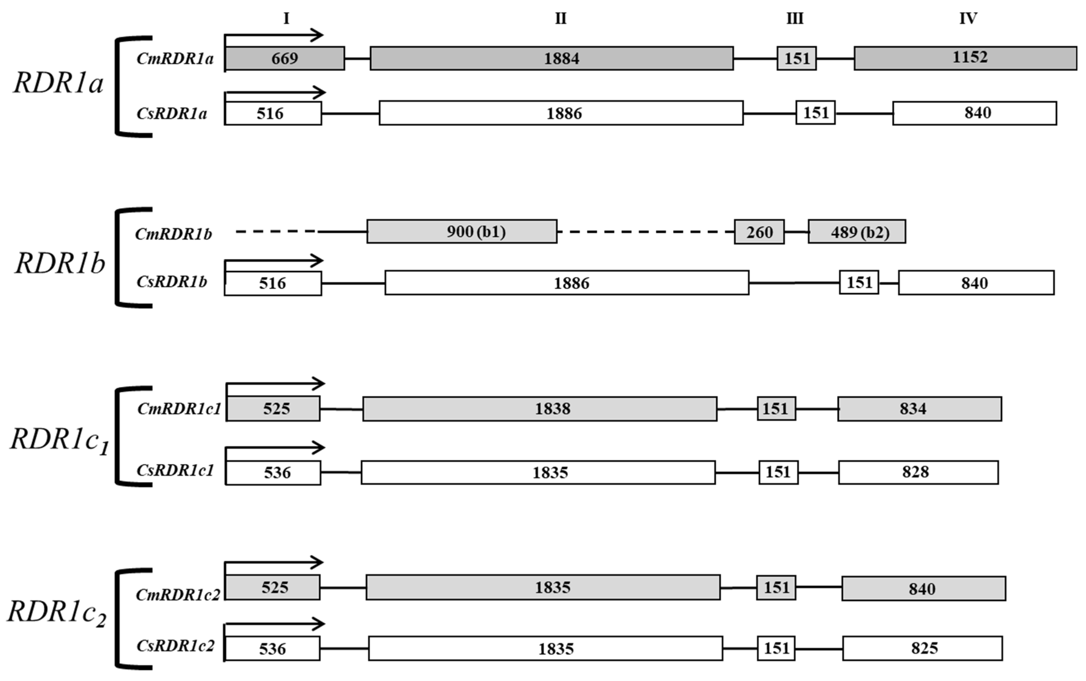 Plants 11 01795 g001