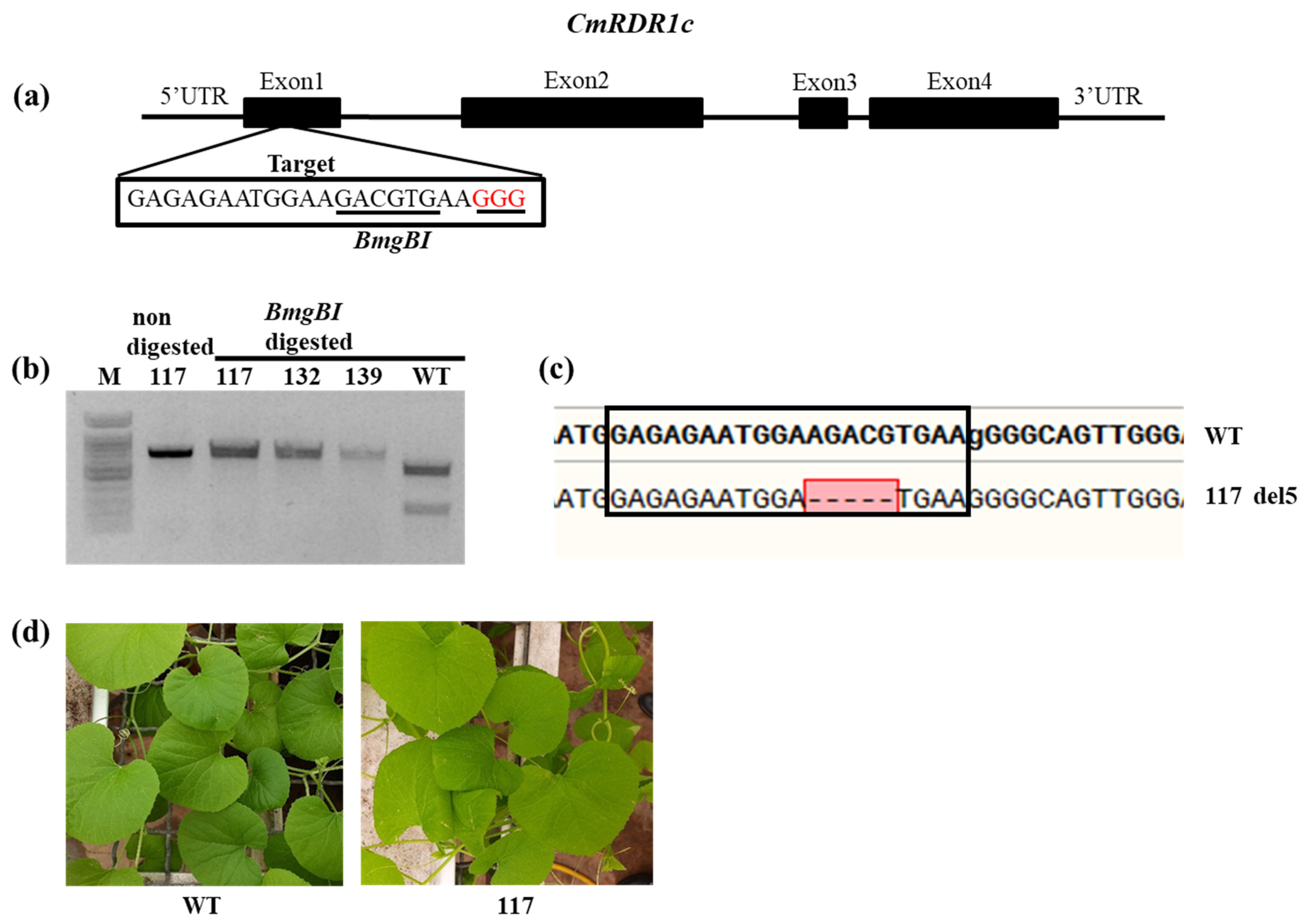 Plants 11 01795 g008