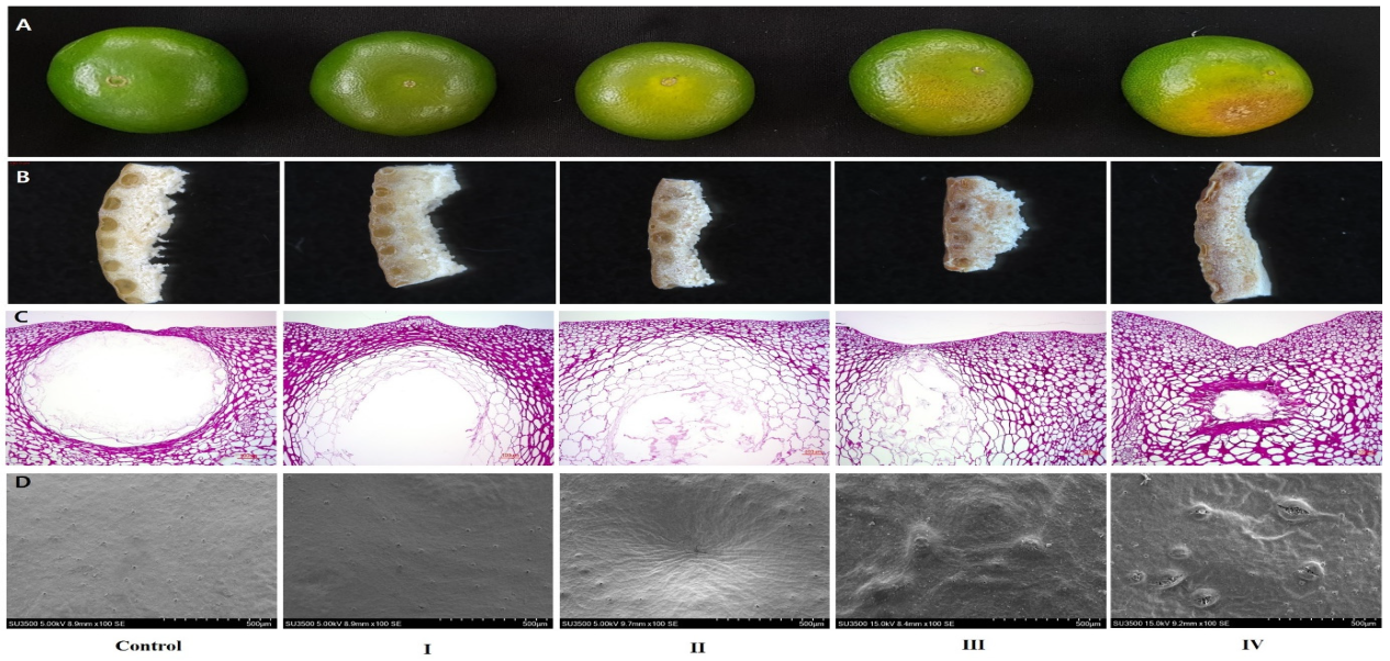 Plants 11 01801 g002