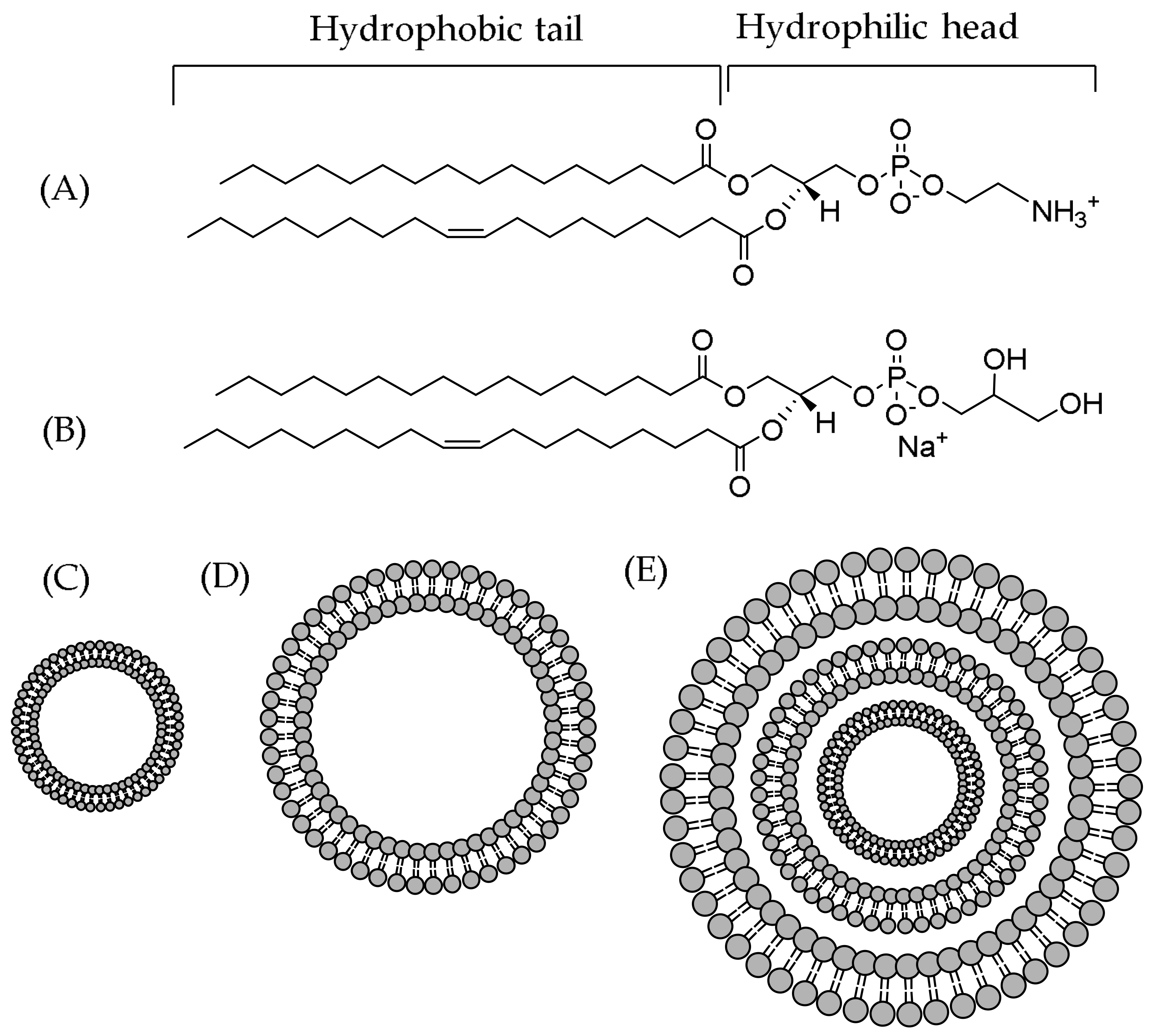Plants 11 01809 g002 Plants 11 01809 g002