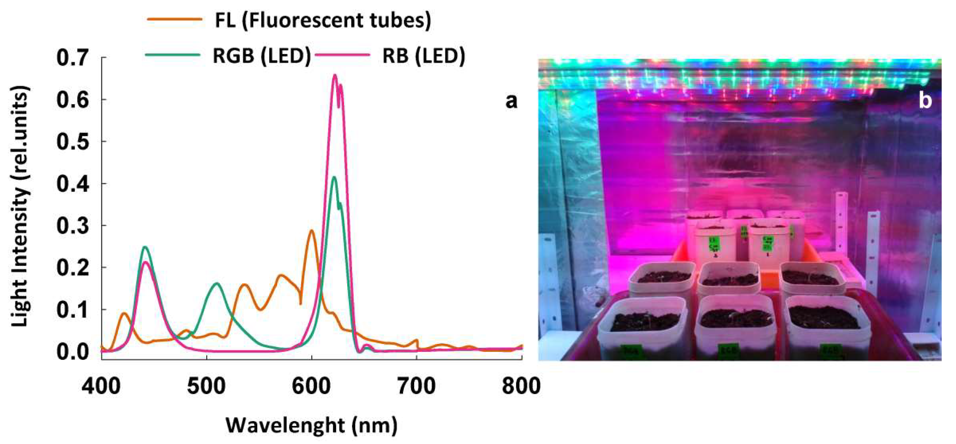 Plants 11 01816 g006