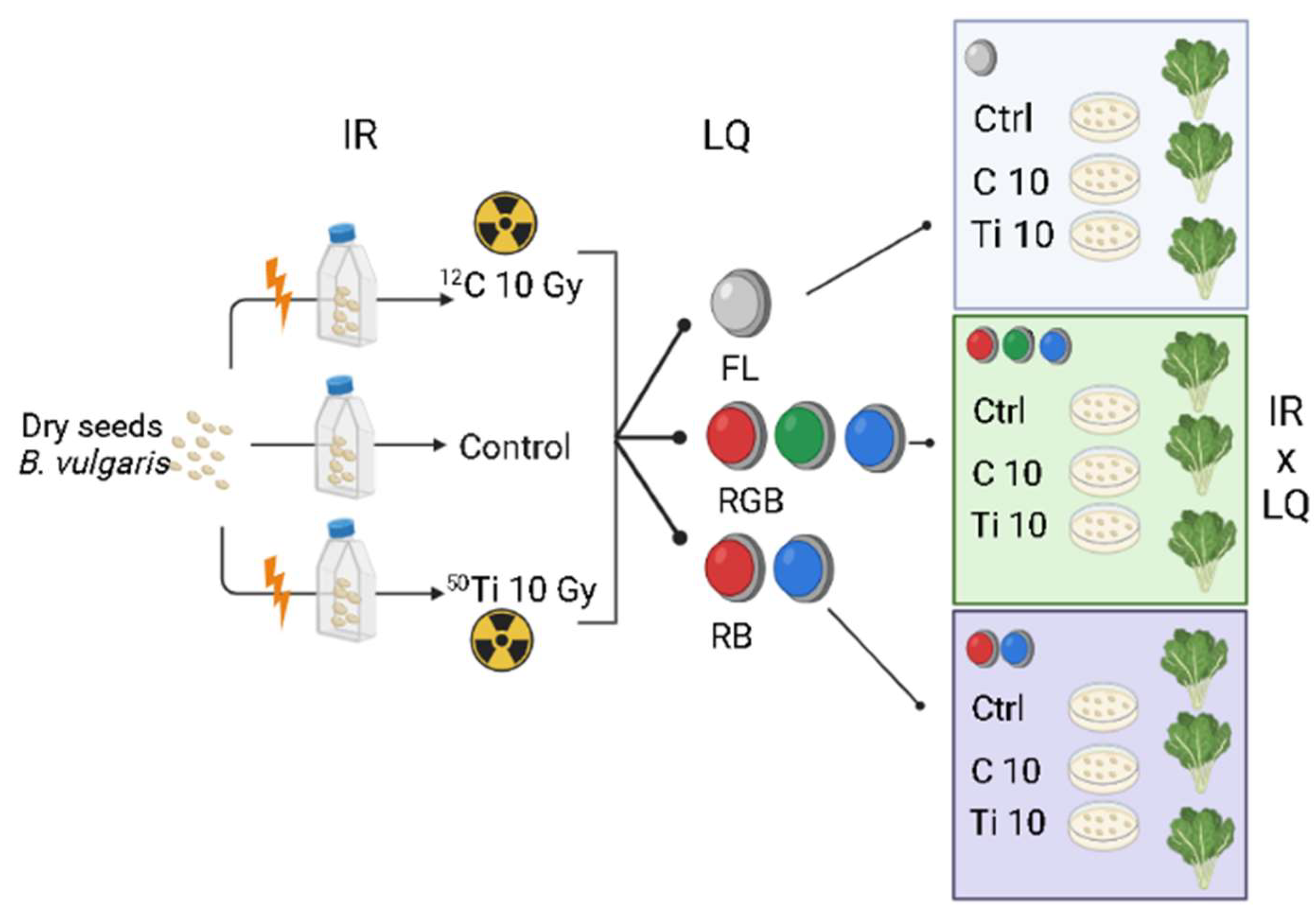 Plants 11 01816 g007