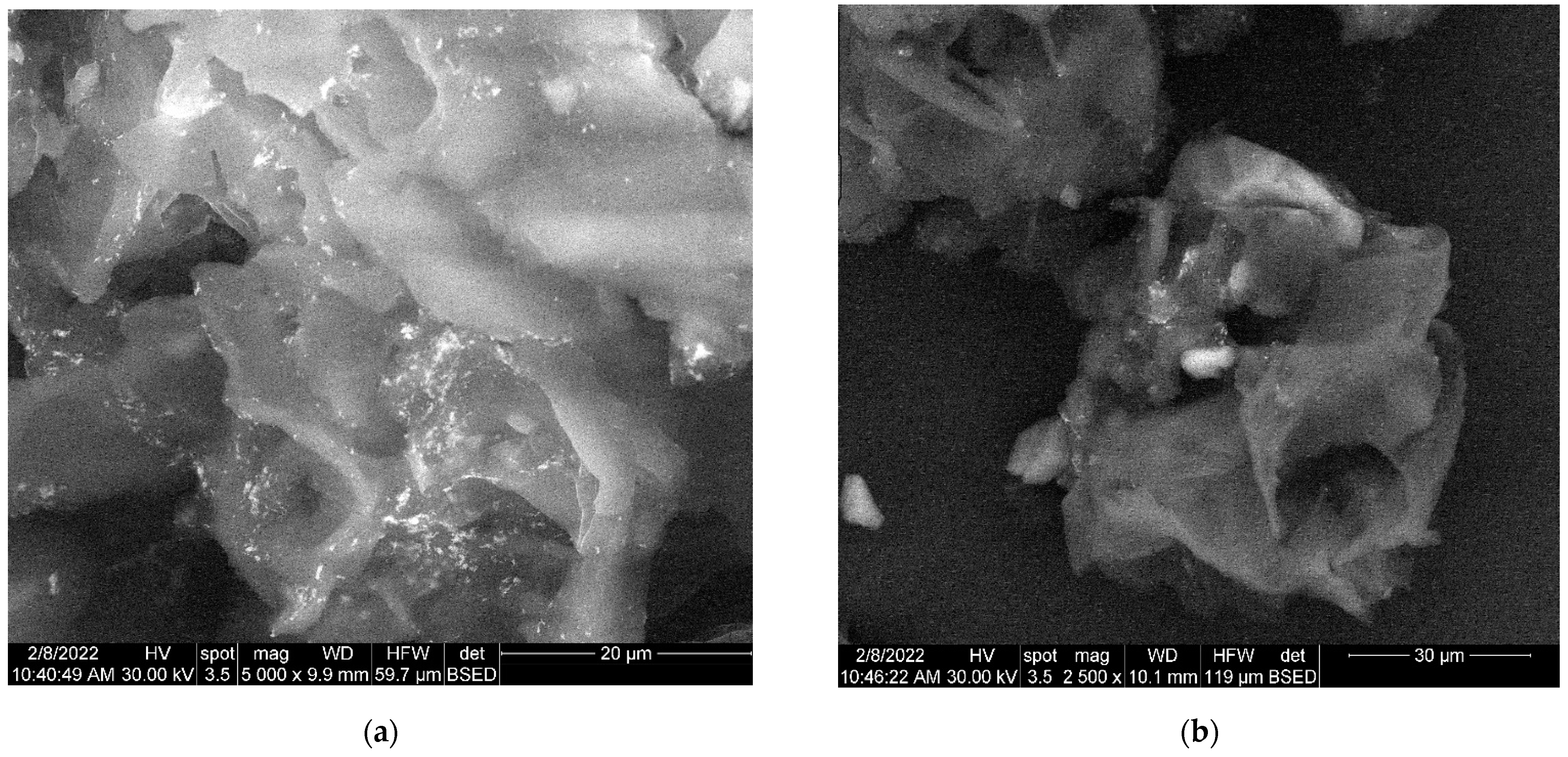 Plants 11 01820 g007