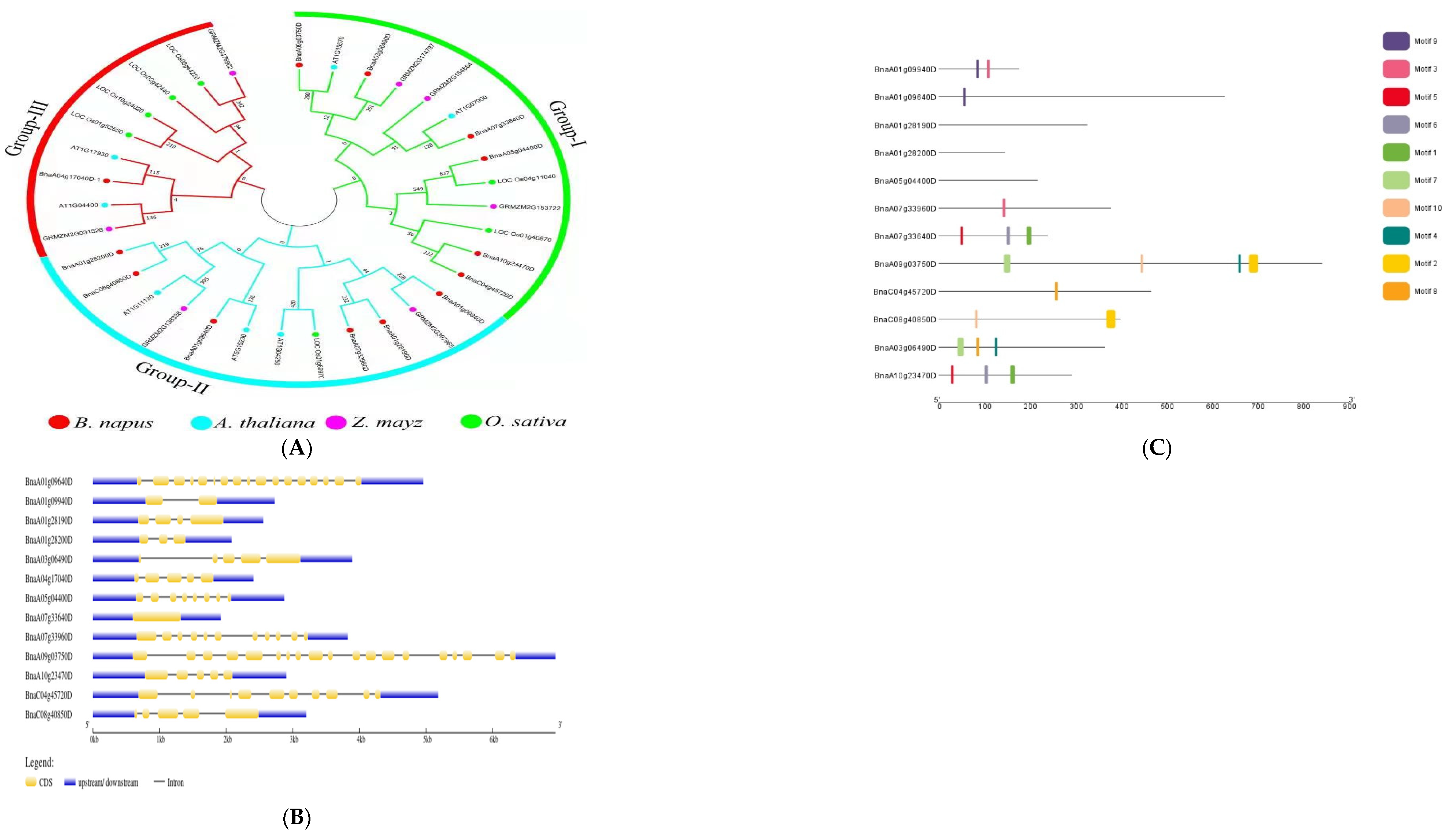 Plants 11 01826 g003