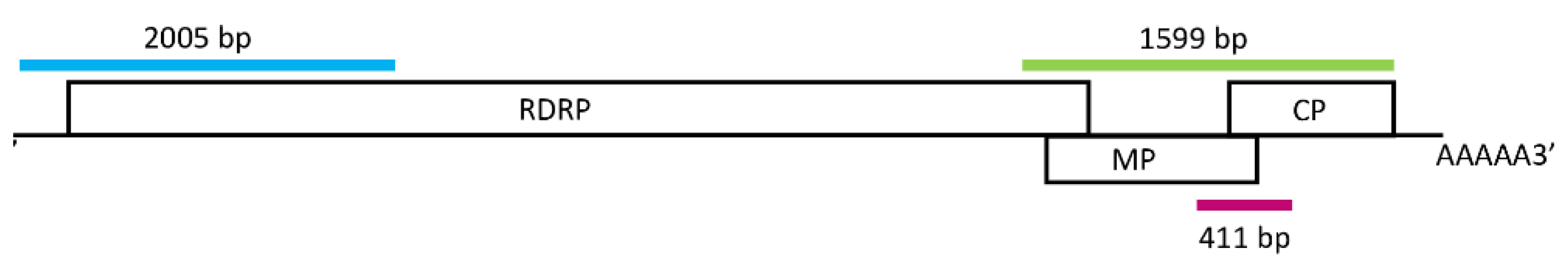 Plants 11 01830 g002