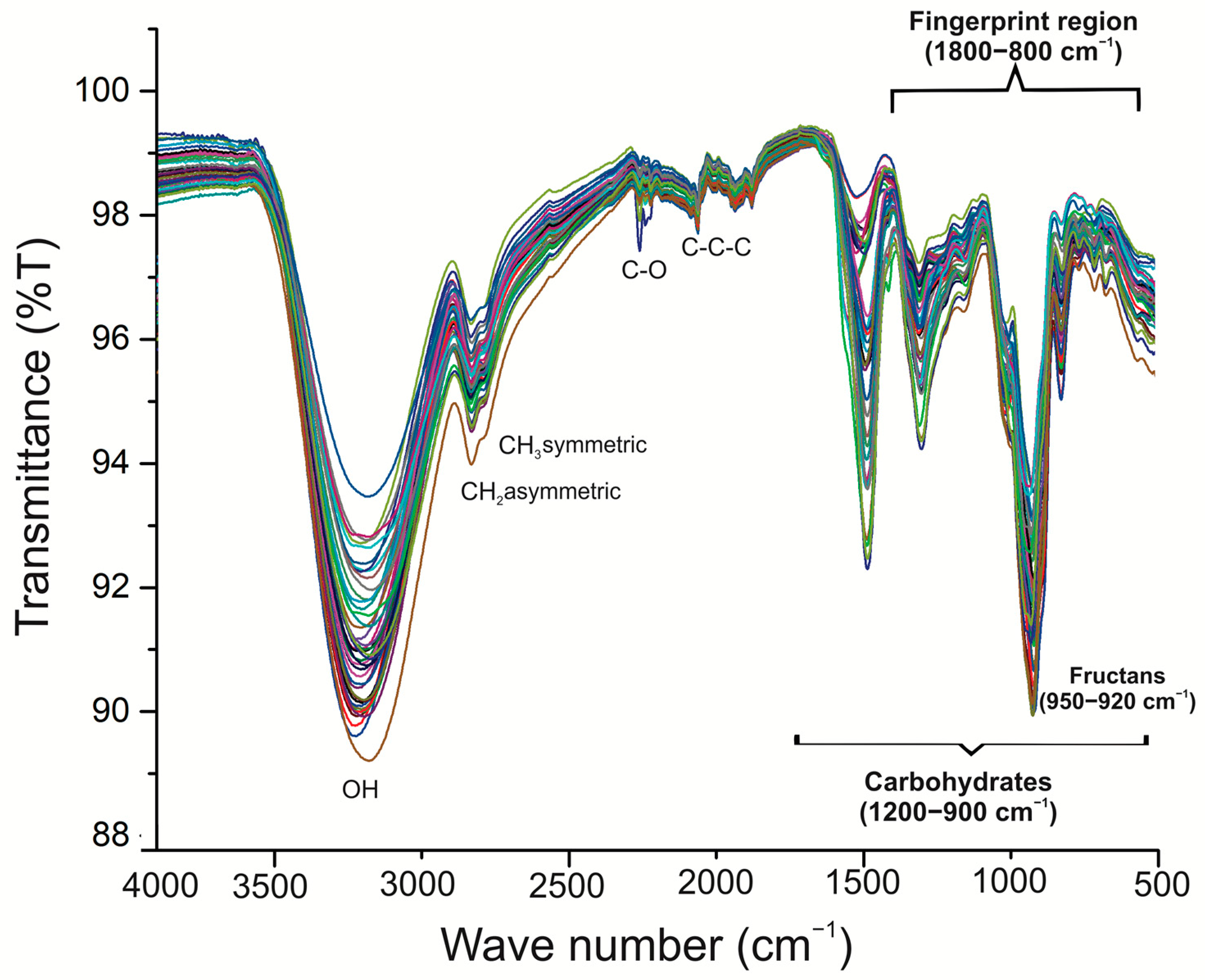 Plants 11 01834 g004