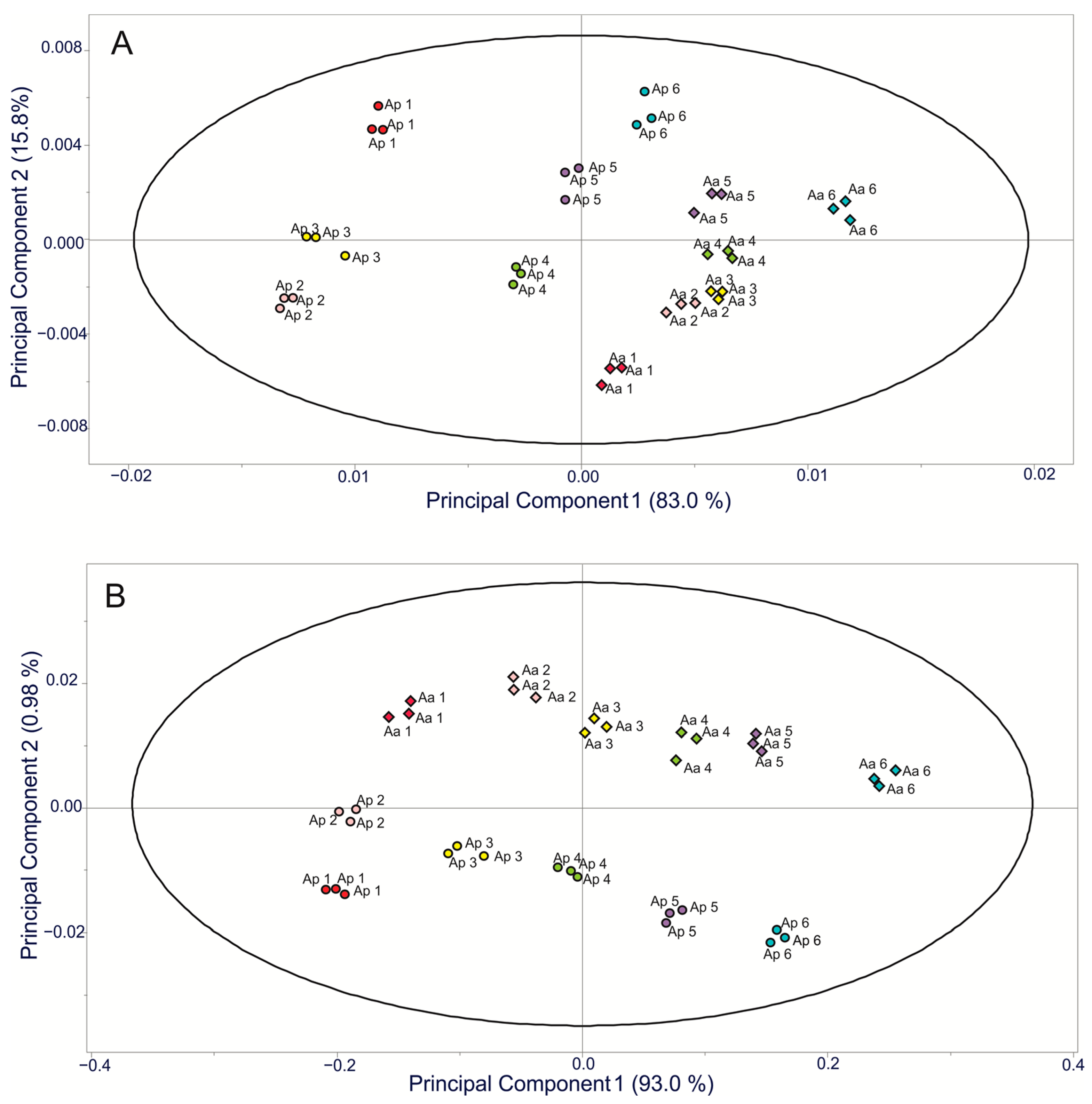 Plants 11 01834 g005