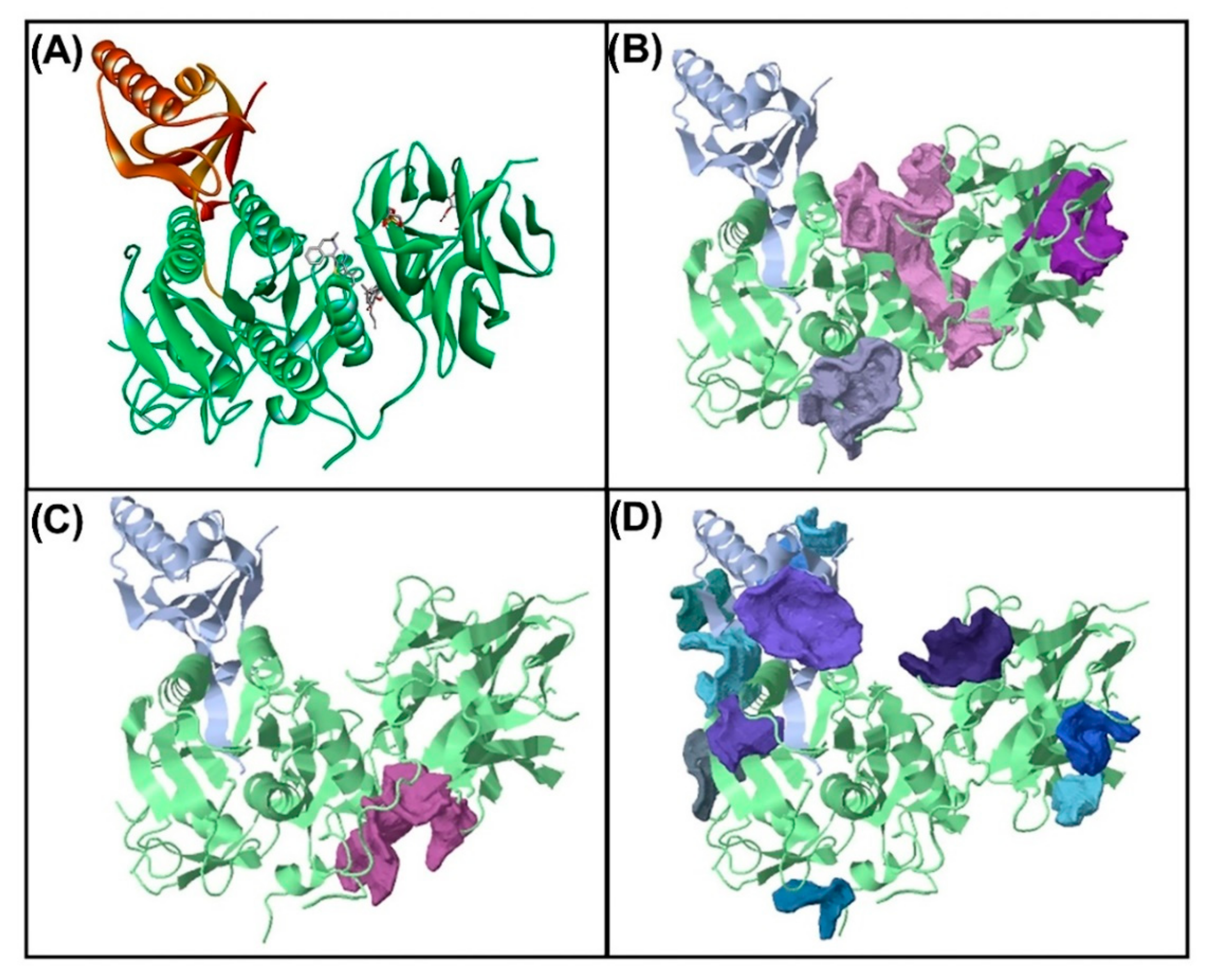 Plants 11 01835 g004