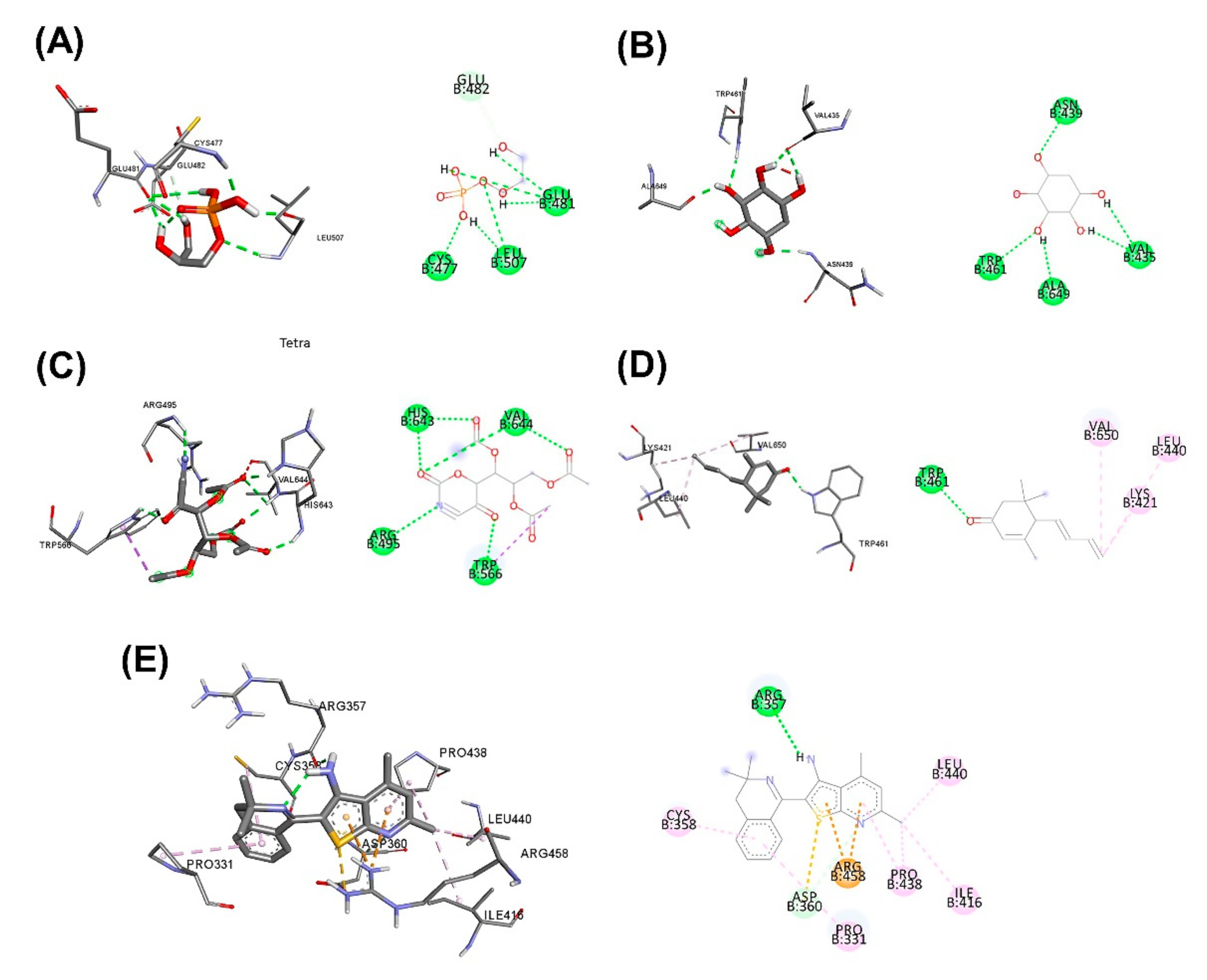 Plants 11 01835 g005