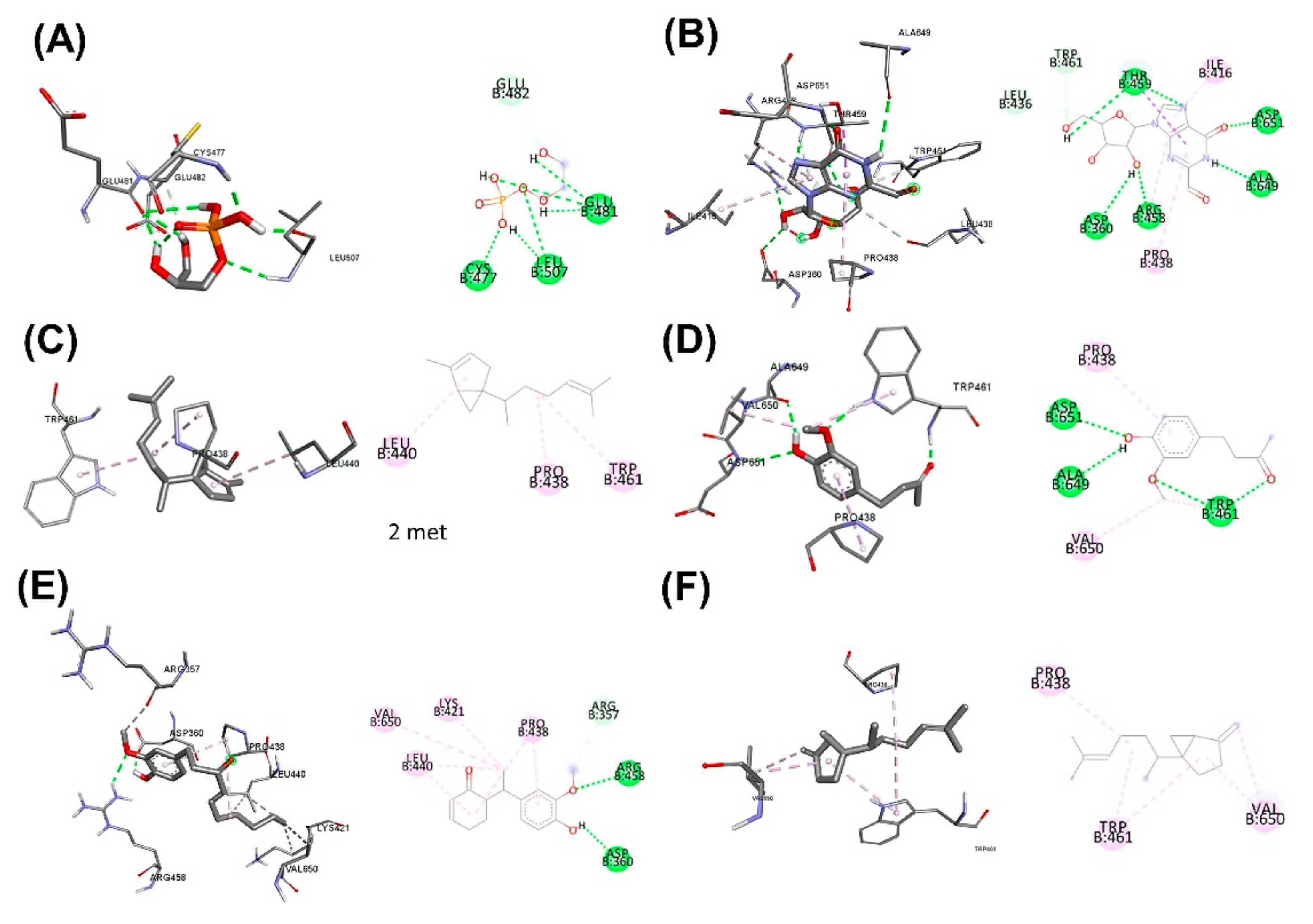 Plants 11 01835 g006