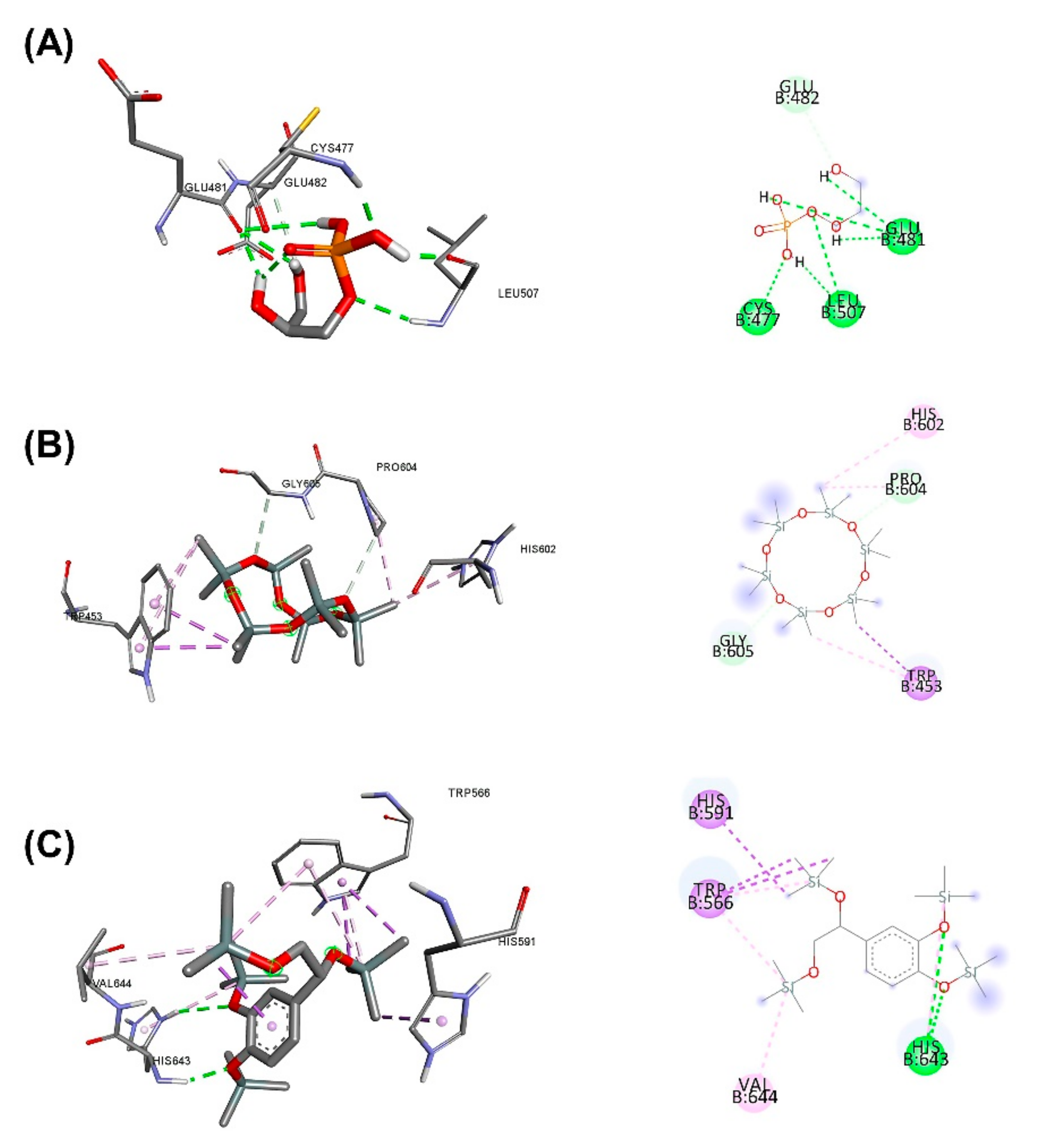 Plants 11 01835 g007