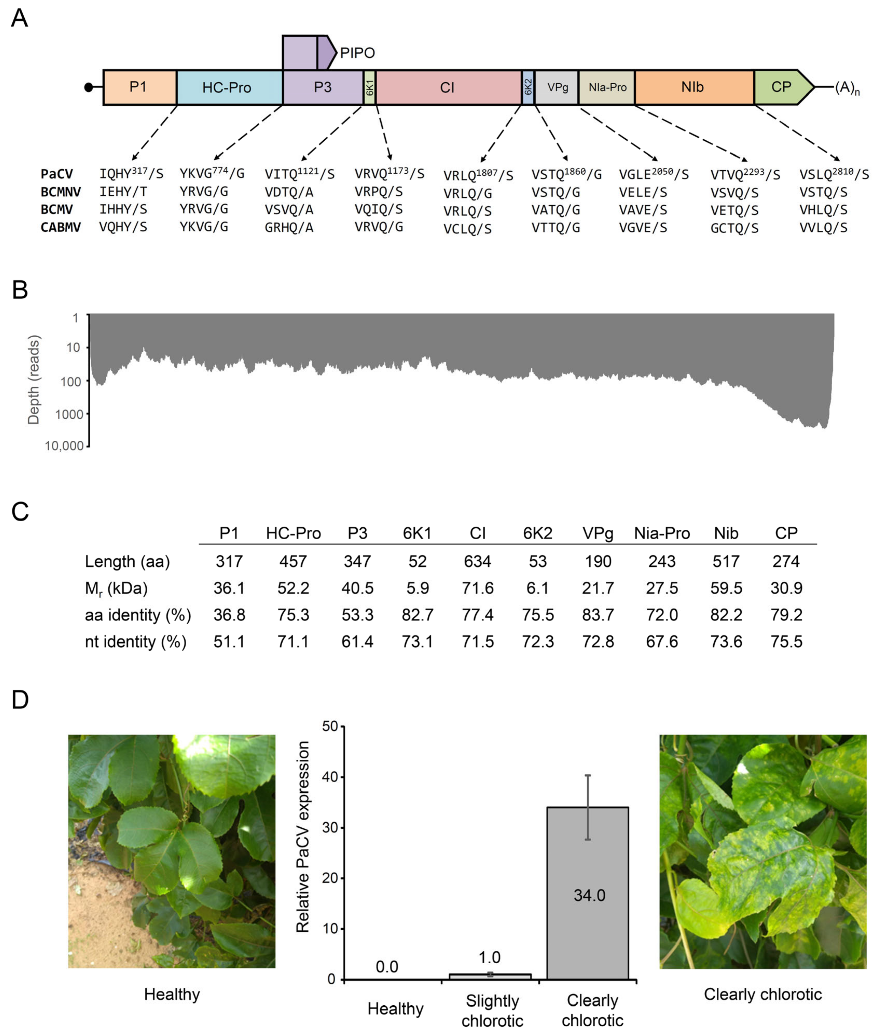 Plants 11 01838 g001