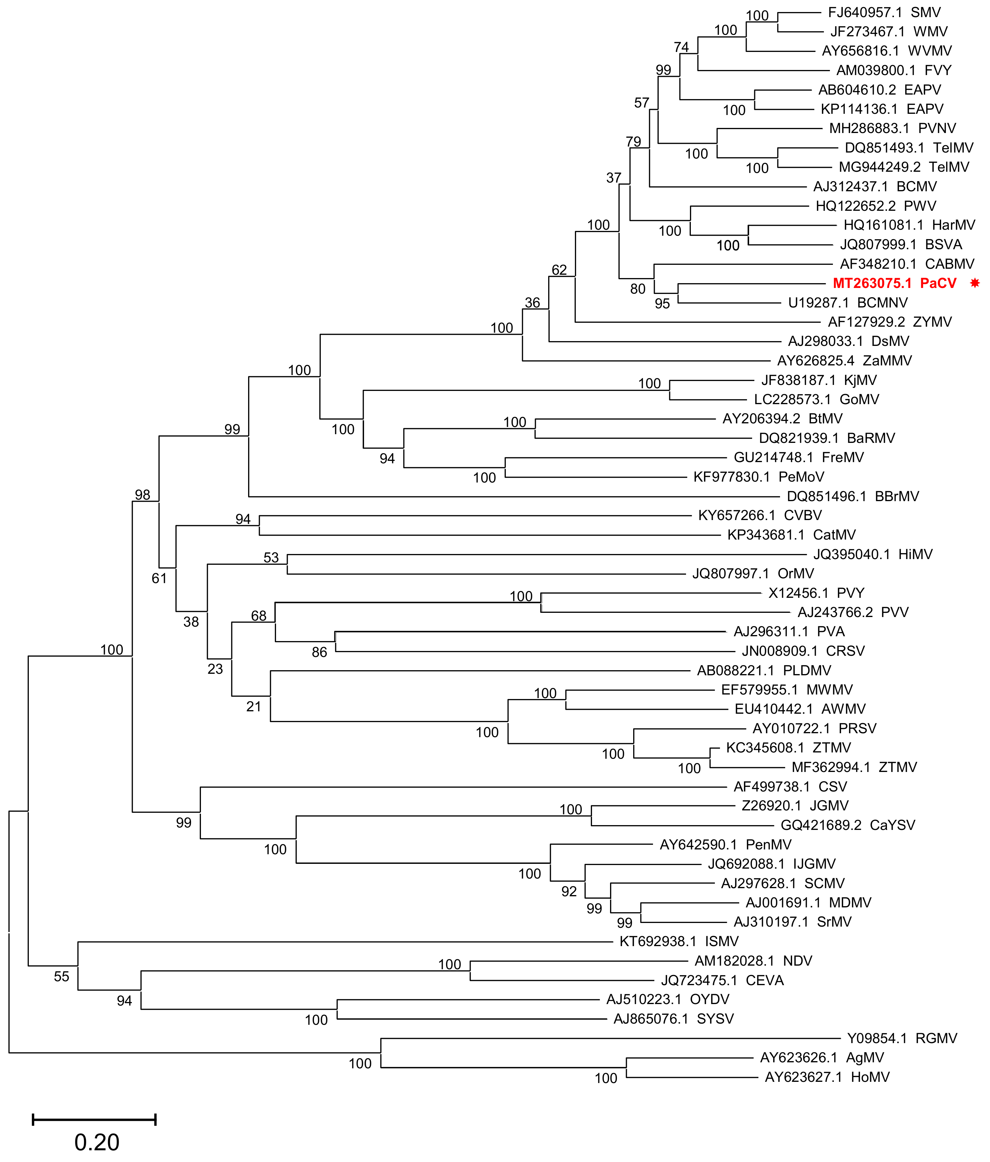 Plants 11 01838 g002
