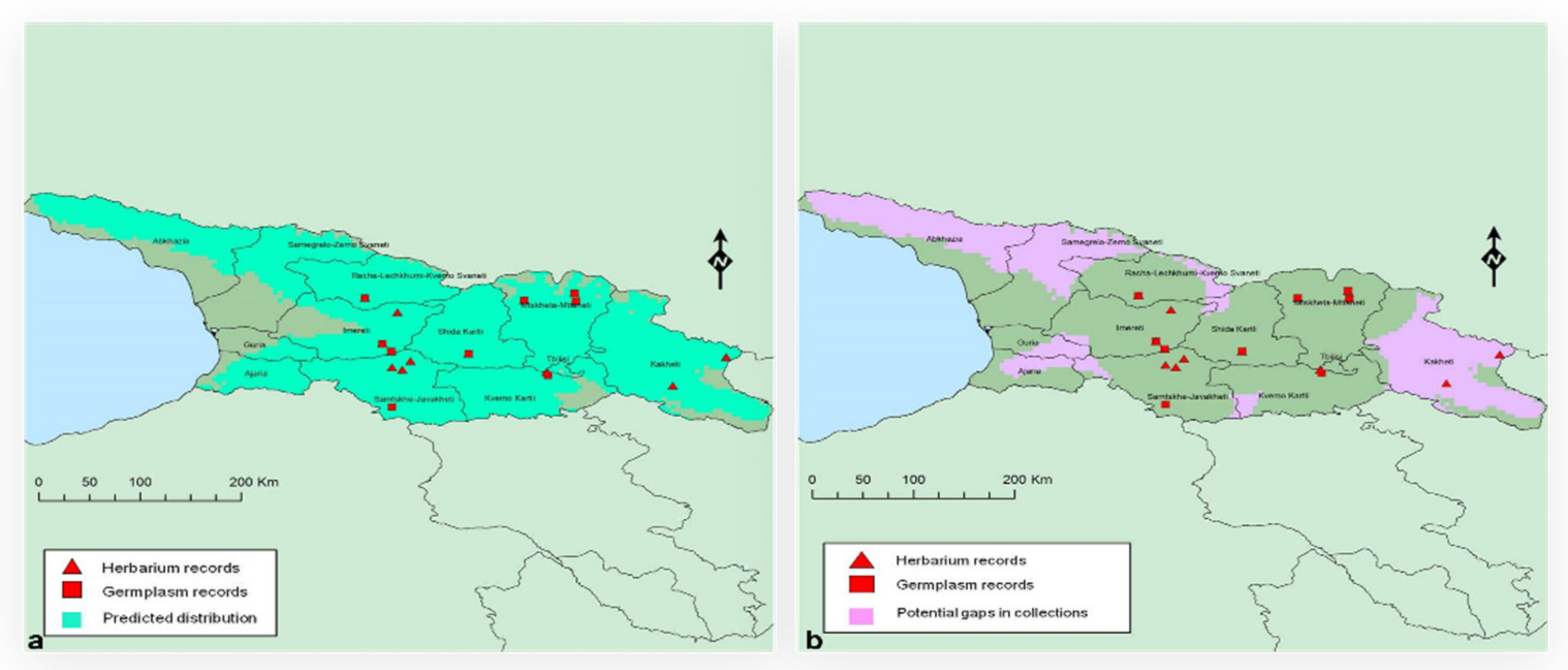 Plants 11 01840 g006