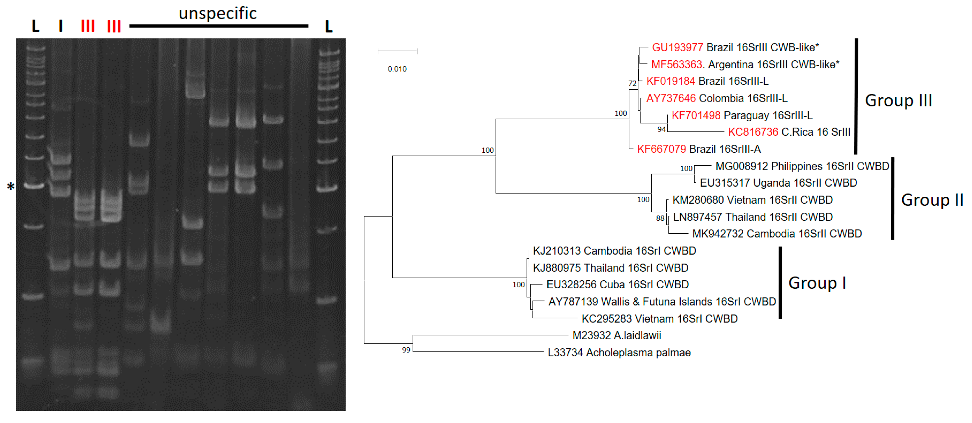 Plants 11 01841 g005 Plants 11 01841 g005