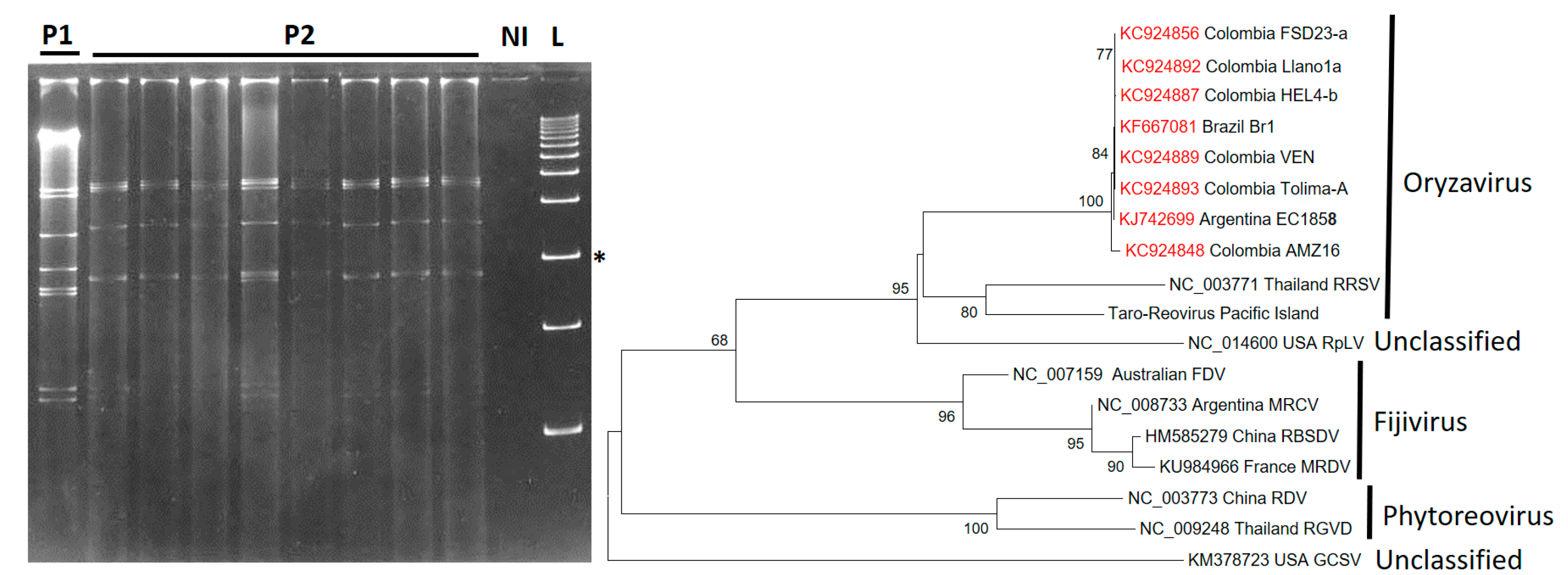 Plants 11 01841 g006 Plants 11 01841 g006