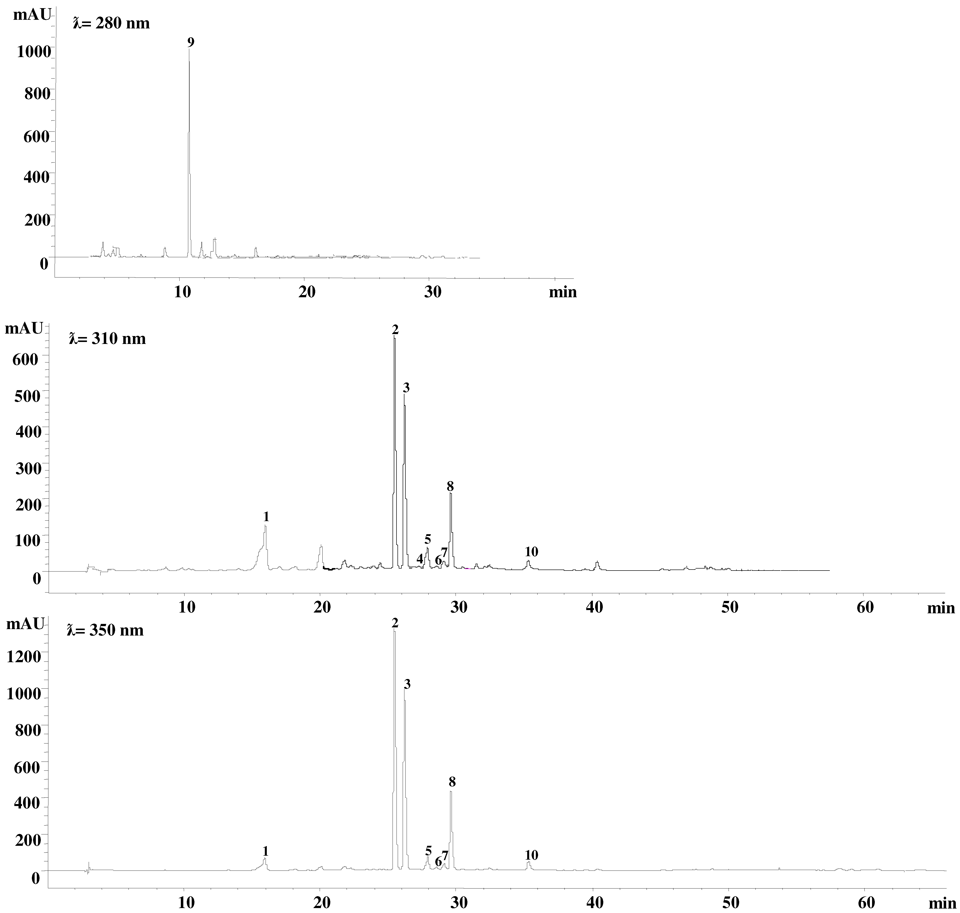Plants 11 01845 g001