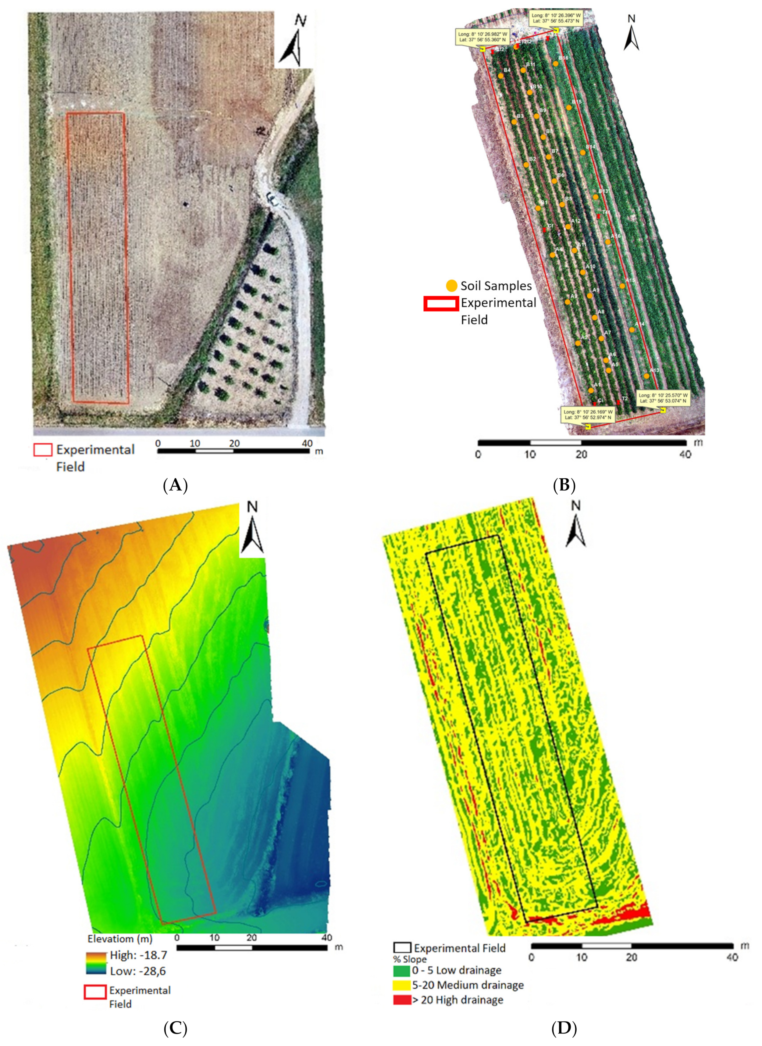 Plants 11 01854 g001