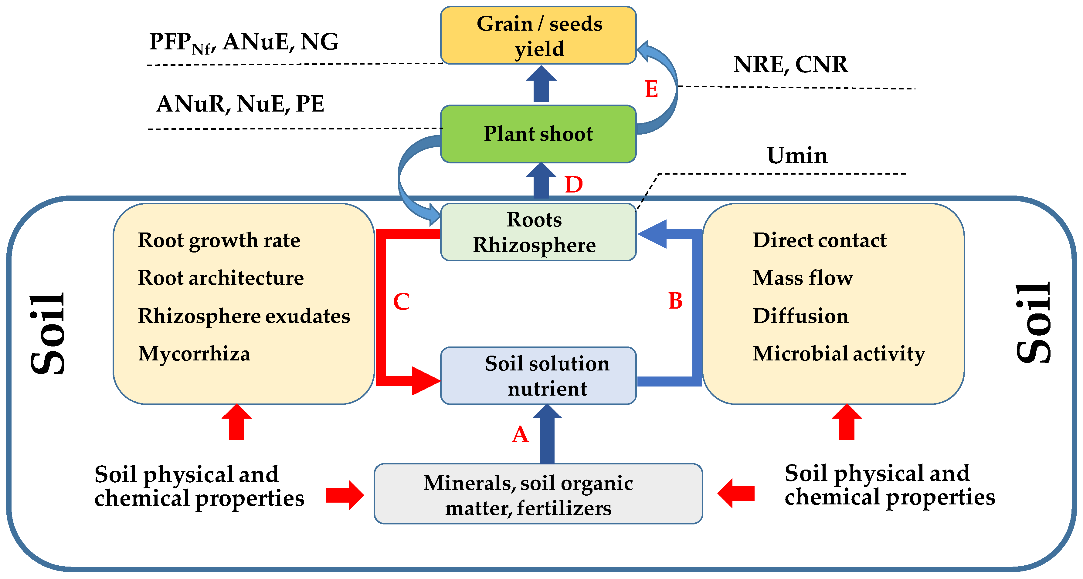 Plants 11 01855 g003