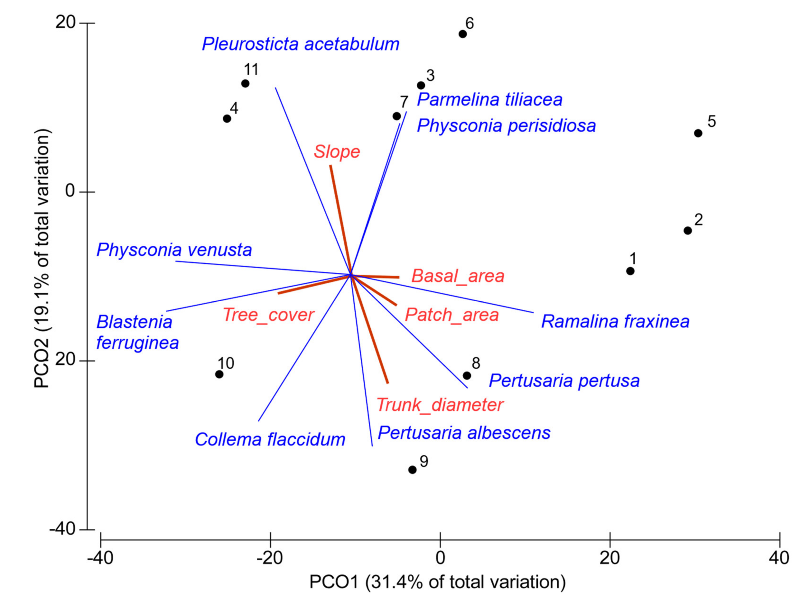 Plants 11 01858 g003