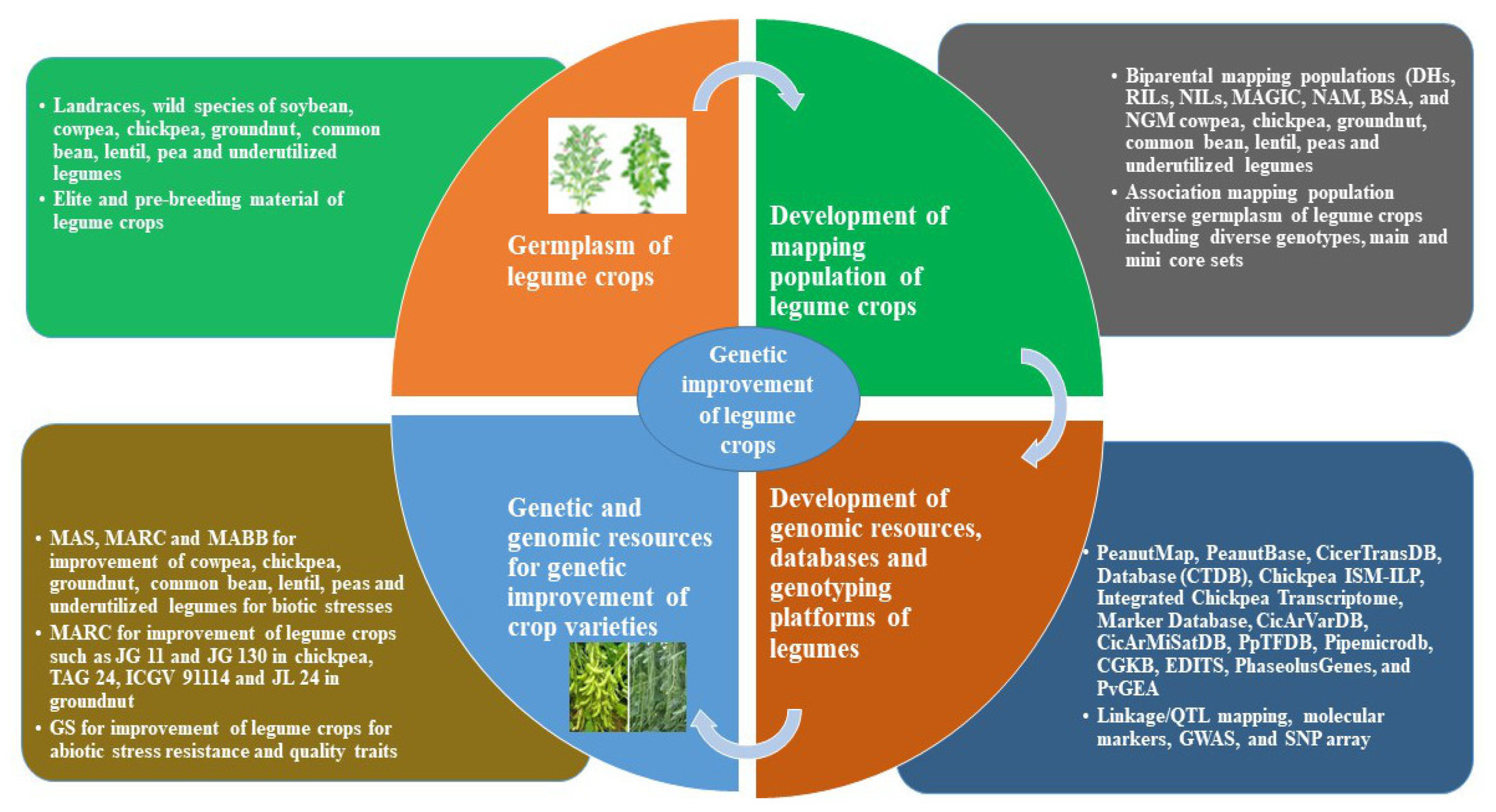 Plants 11 01866 g001