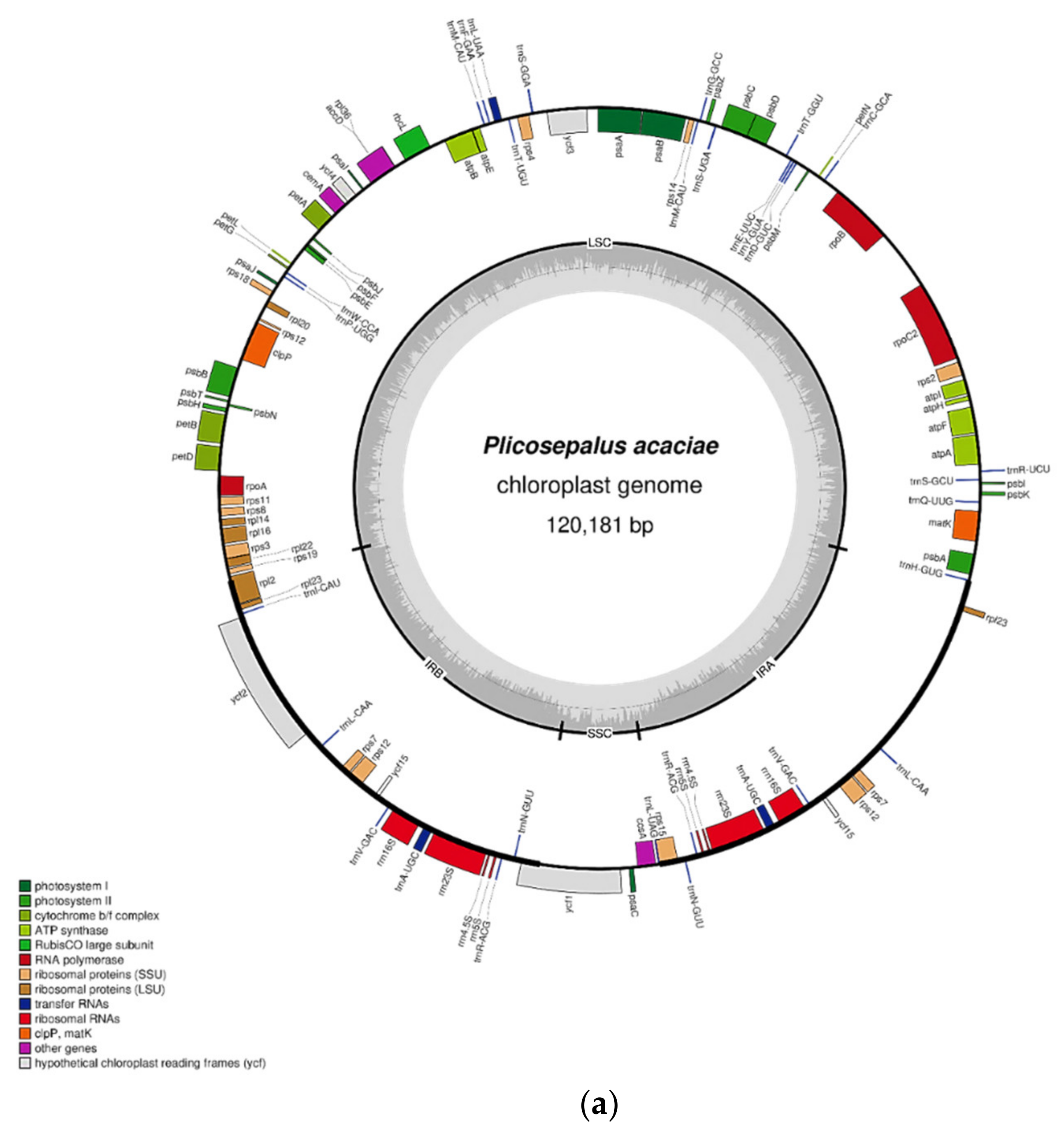 Plants 11 01869 g001a