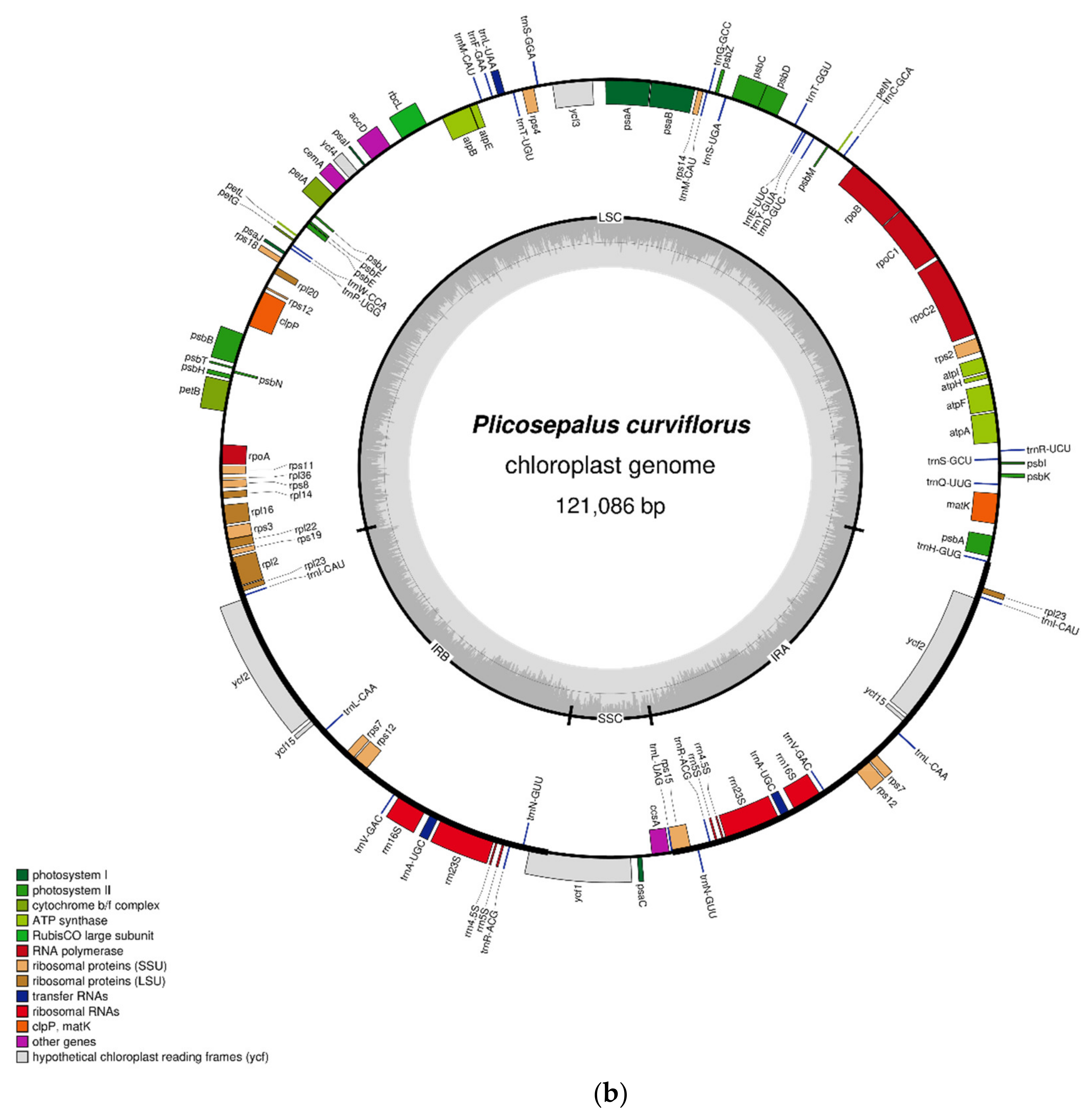 Plants 11 01869 g001b