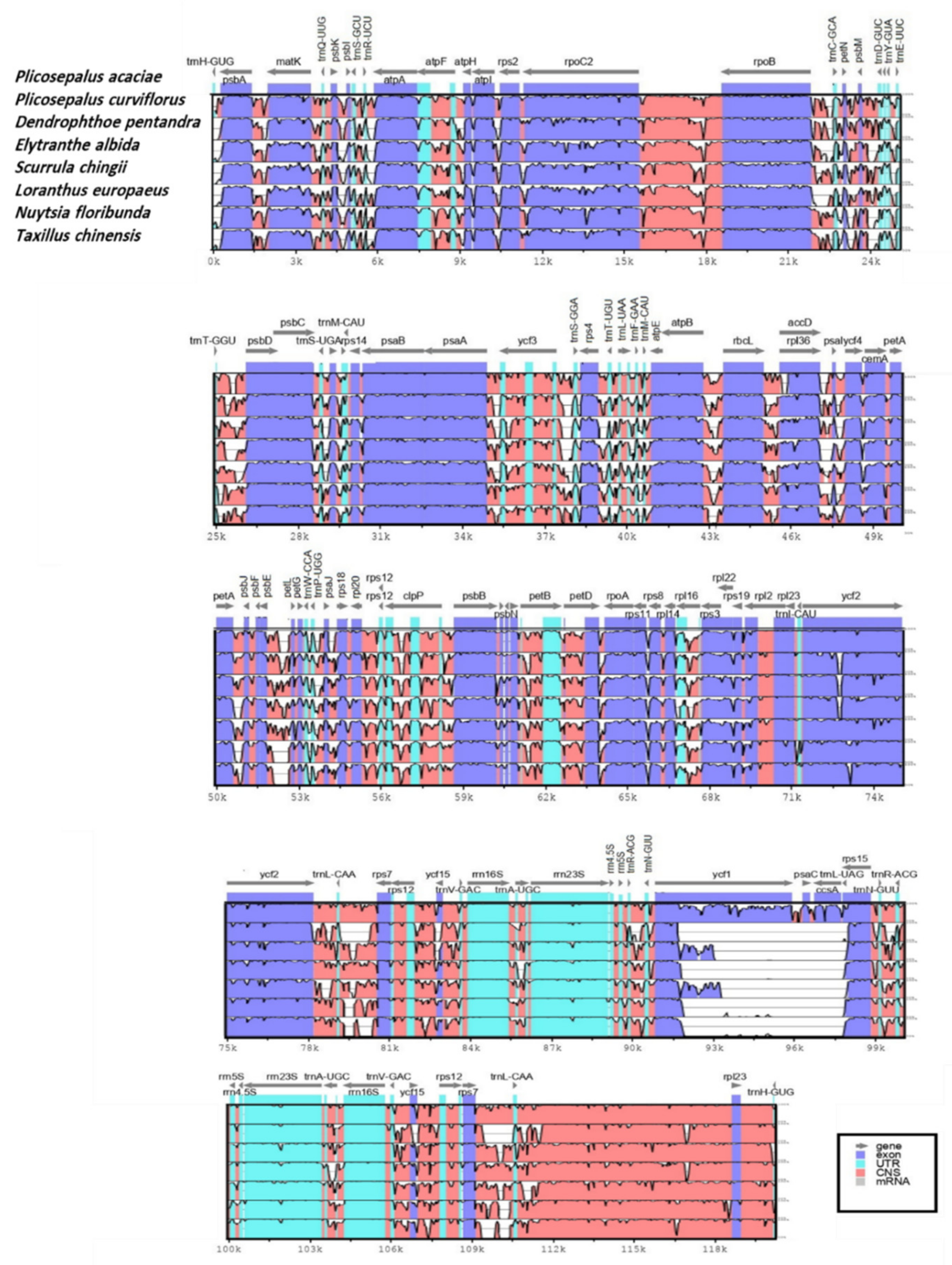 Plants 11 01869 g006