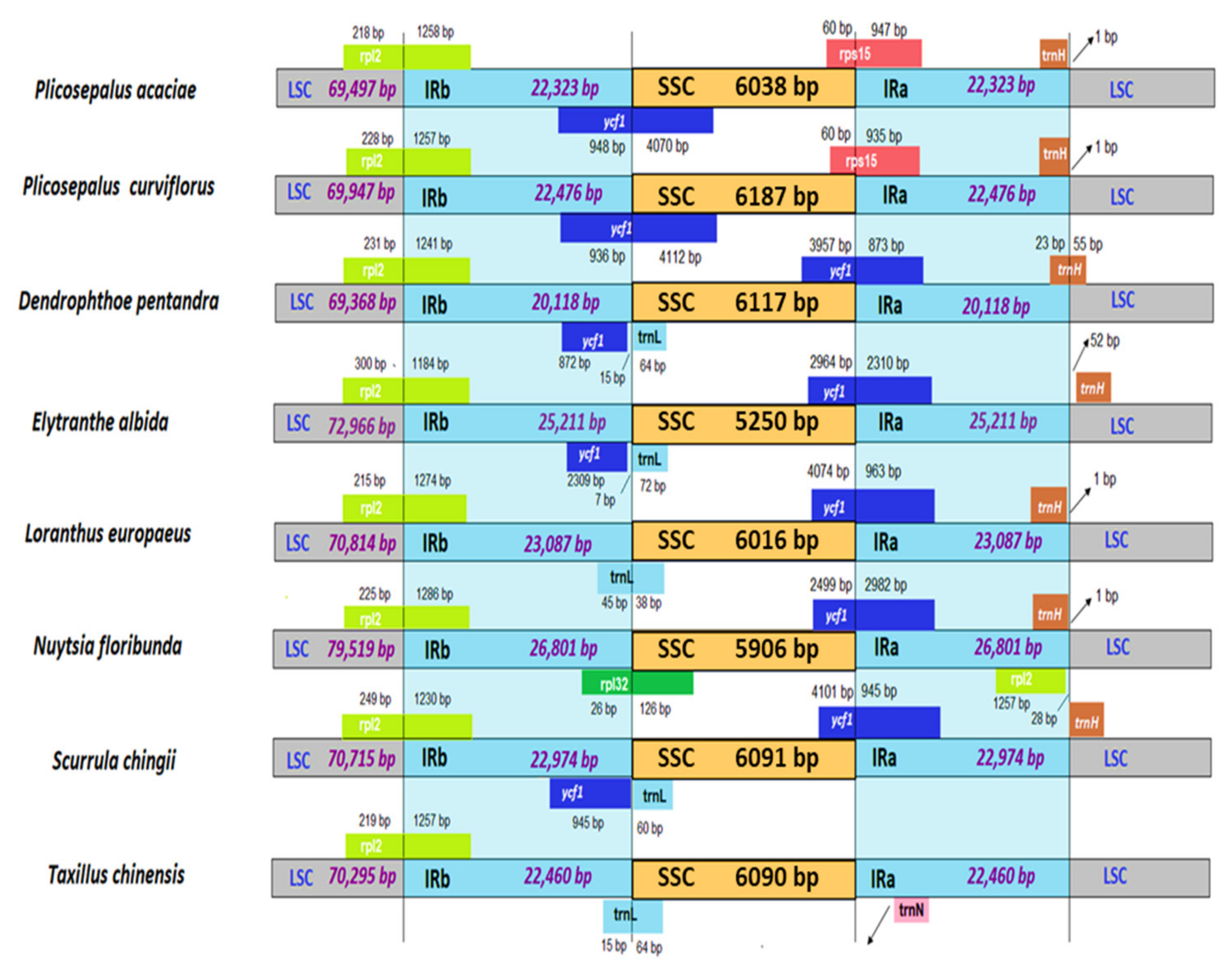 Plants 11 01869 g007