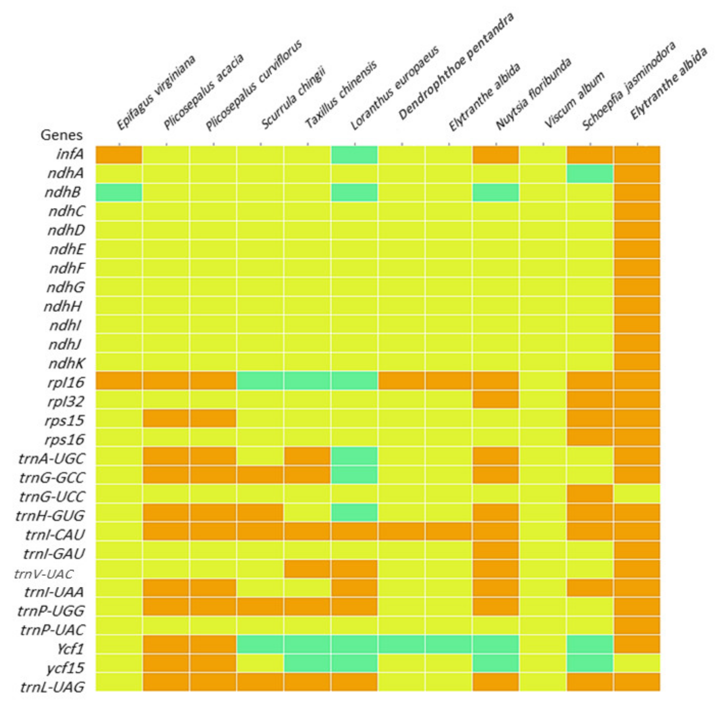 Plants 11 01869 g009